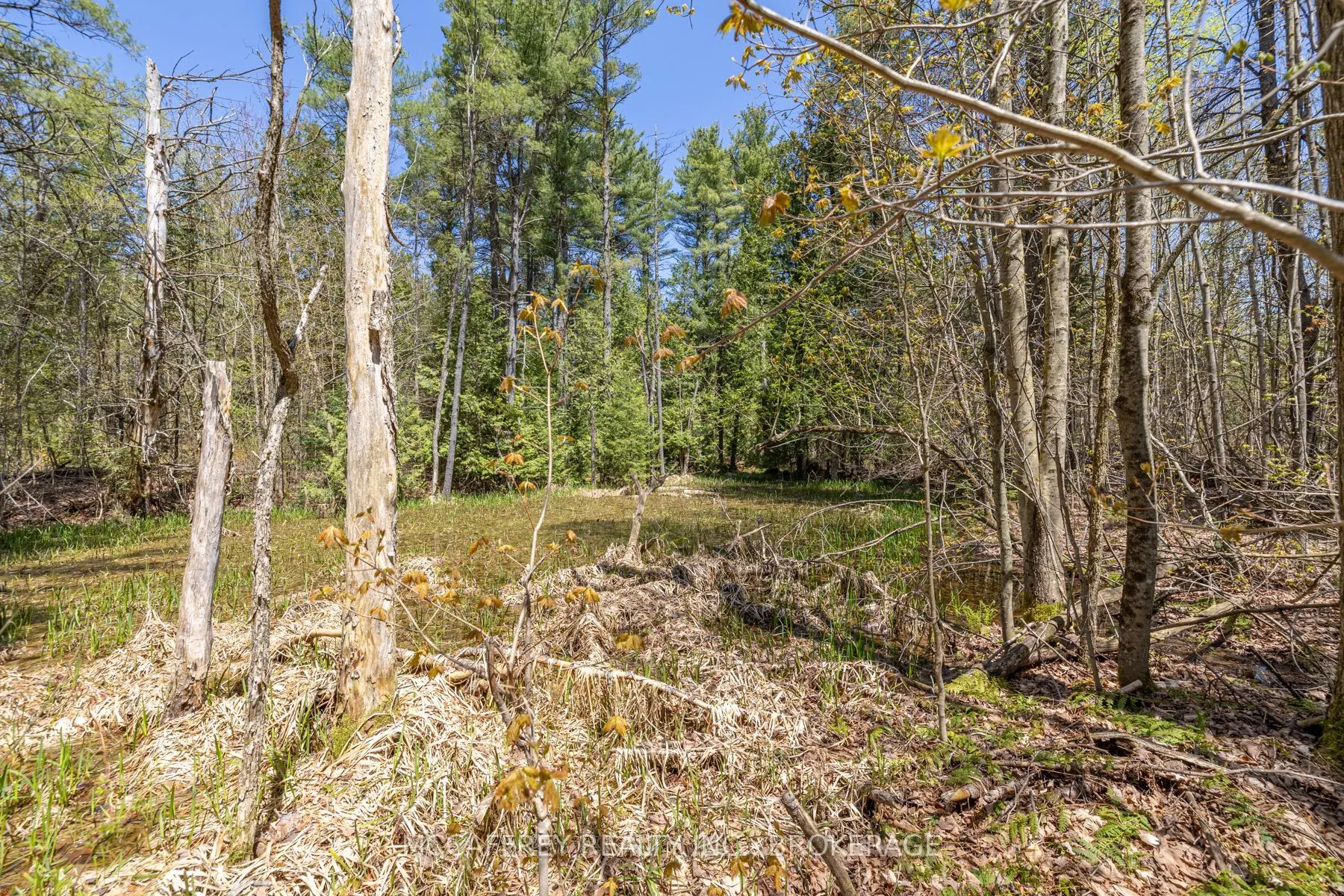 1088 KASHWAKAMAK LAKE Road