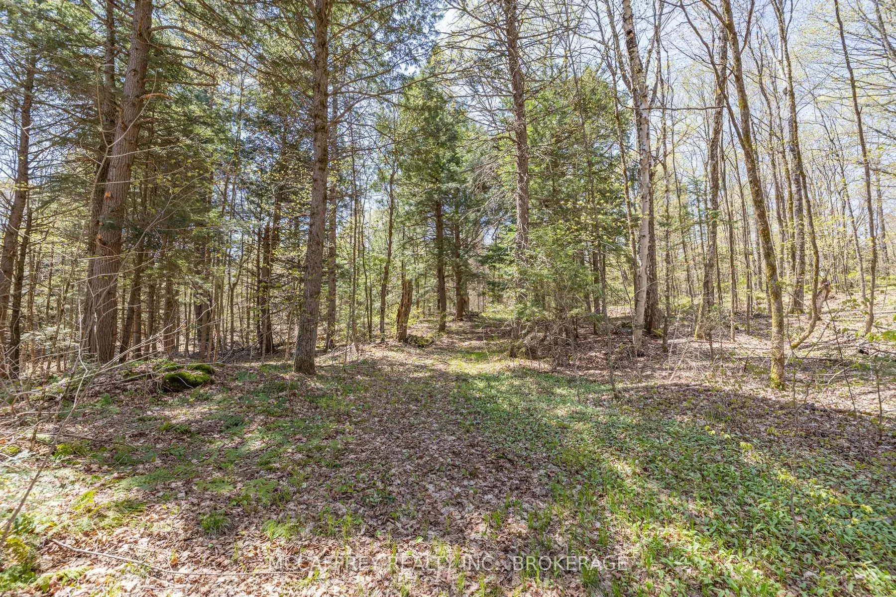 1088 KASHWAKAMAK LAKE Road