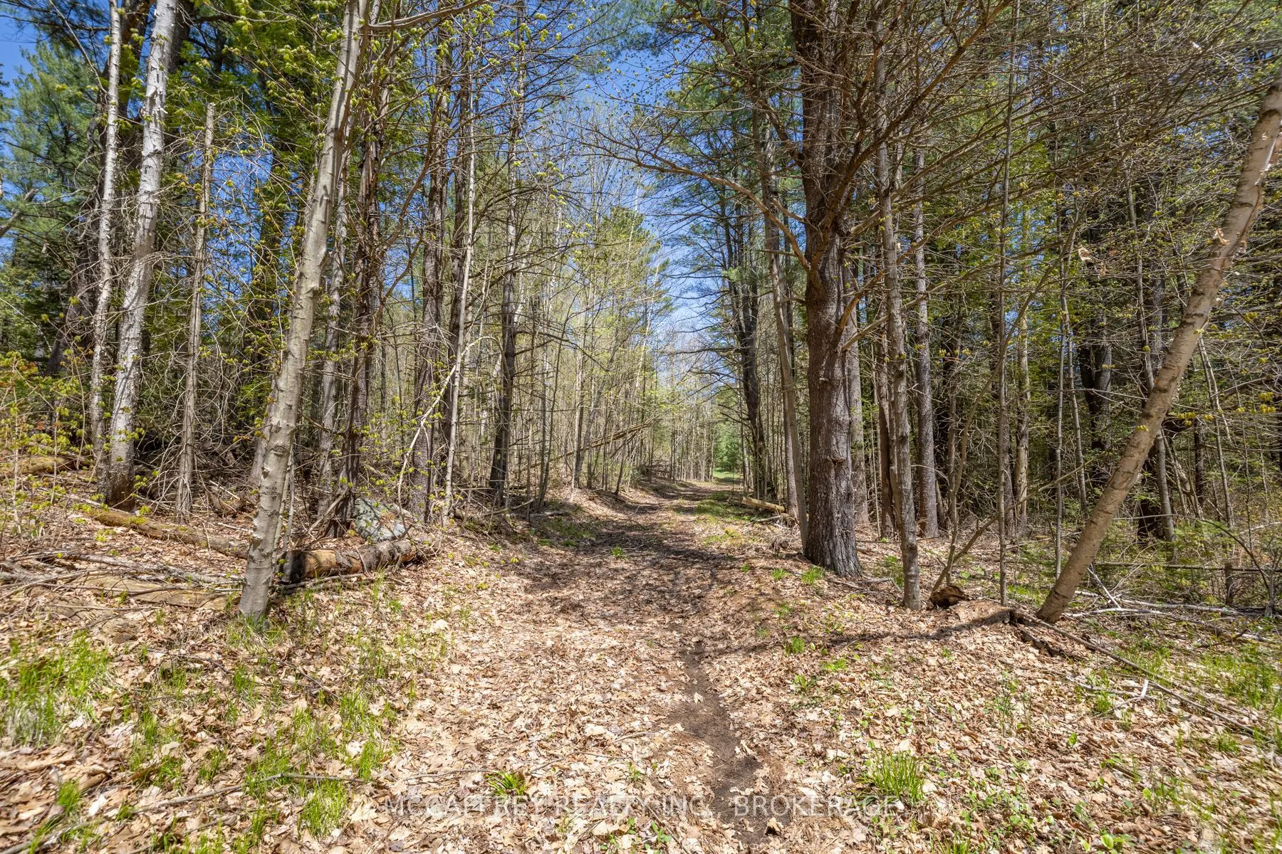 1088 KASHWAKAMAK LAKE Road