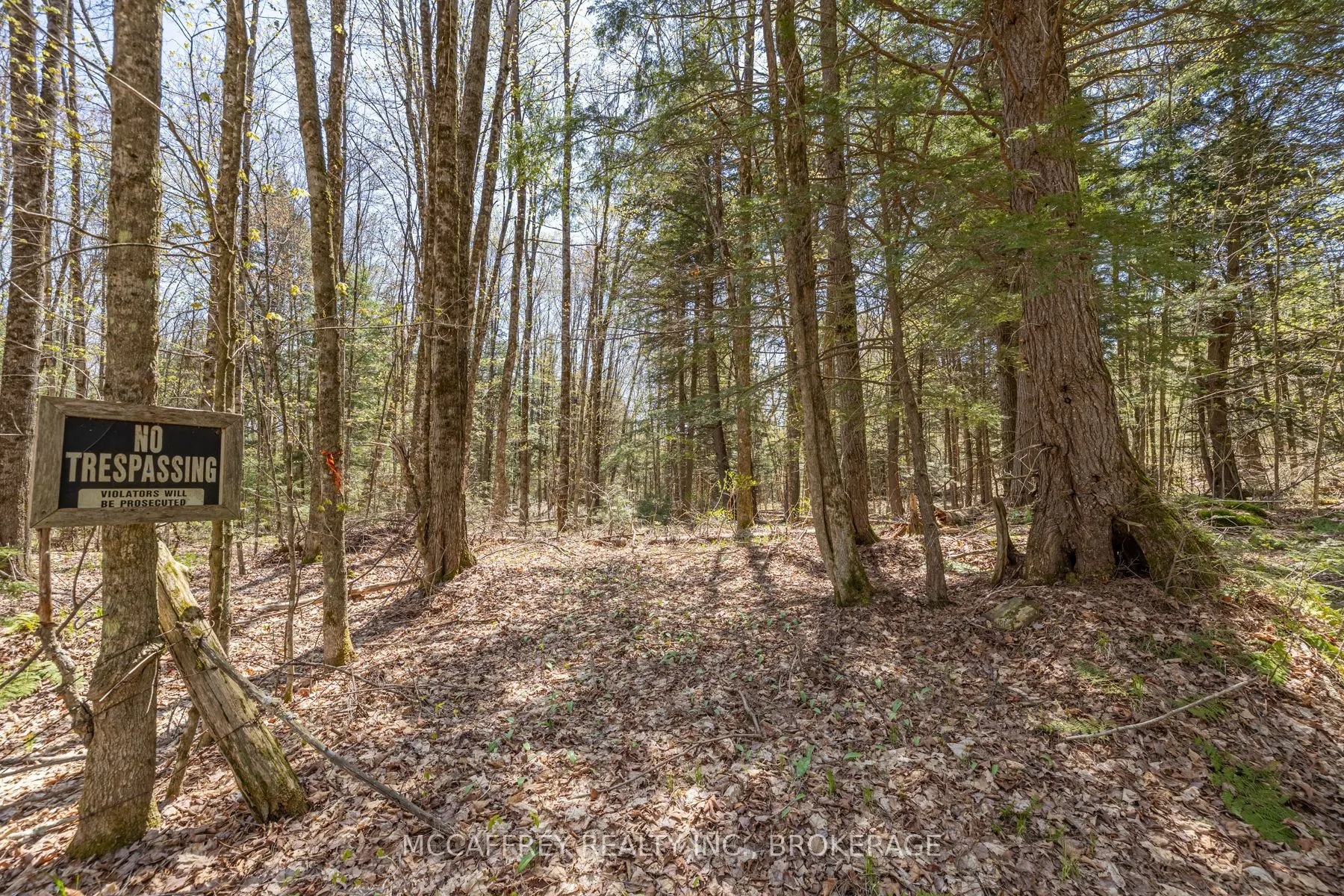 1088 KASHWAKAMAK LAKE Road