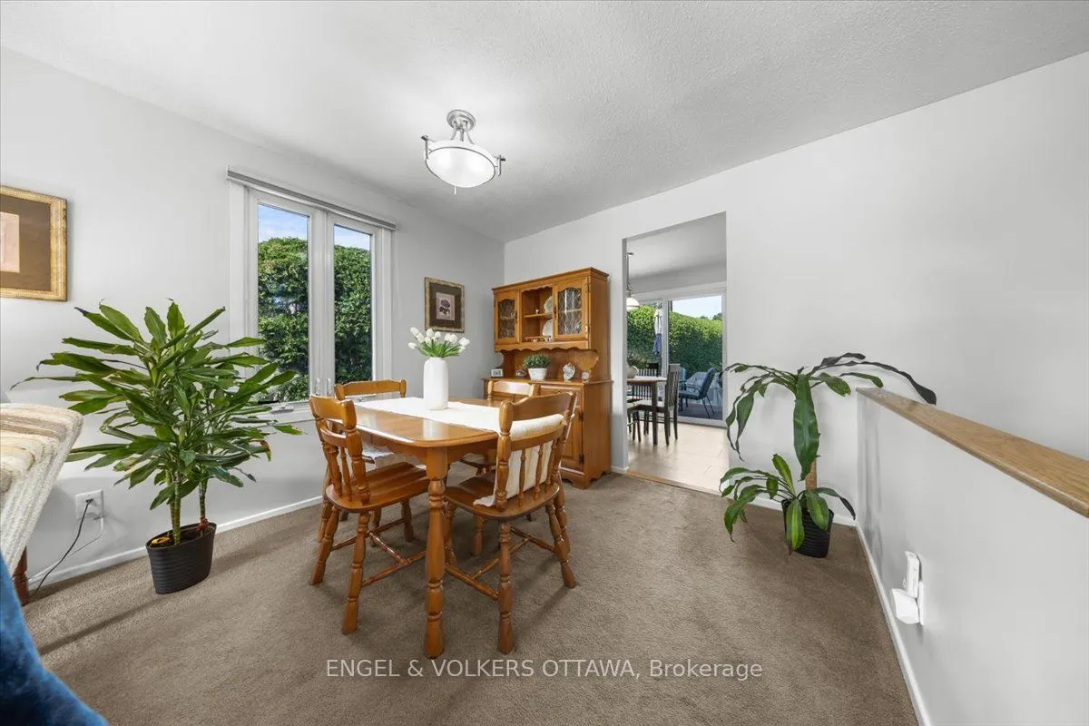 11 Ventnor Way