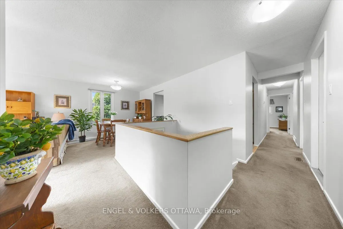 11 Ventnor Way
