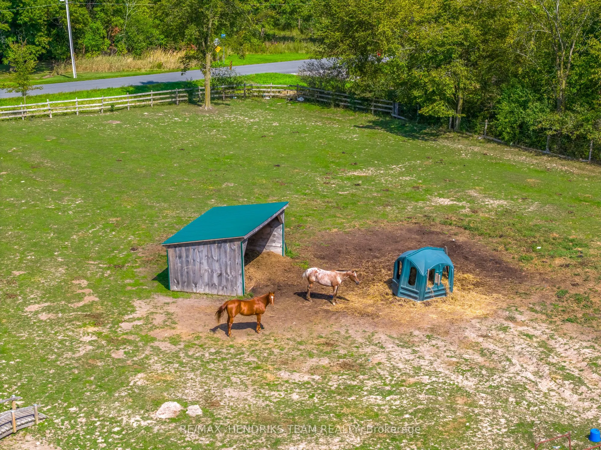 9850 Carl Road