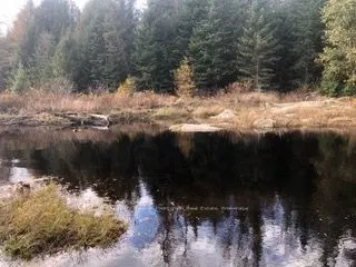 1898 Axe Lake Road