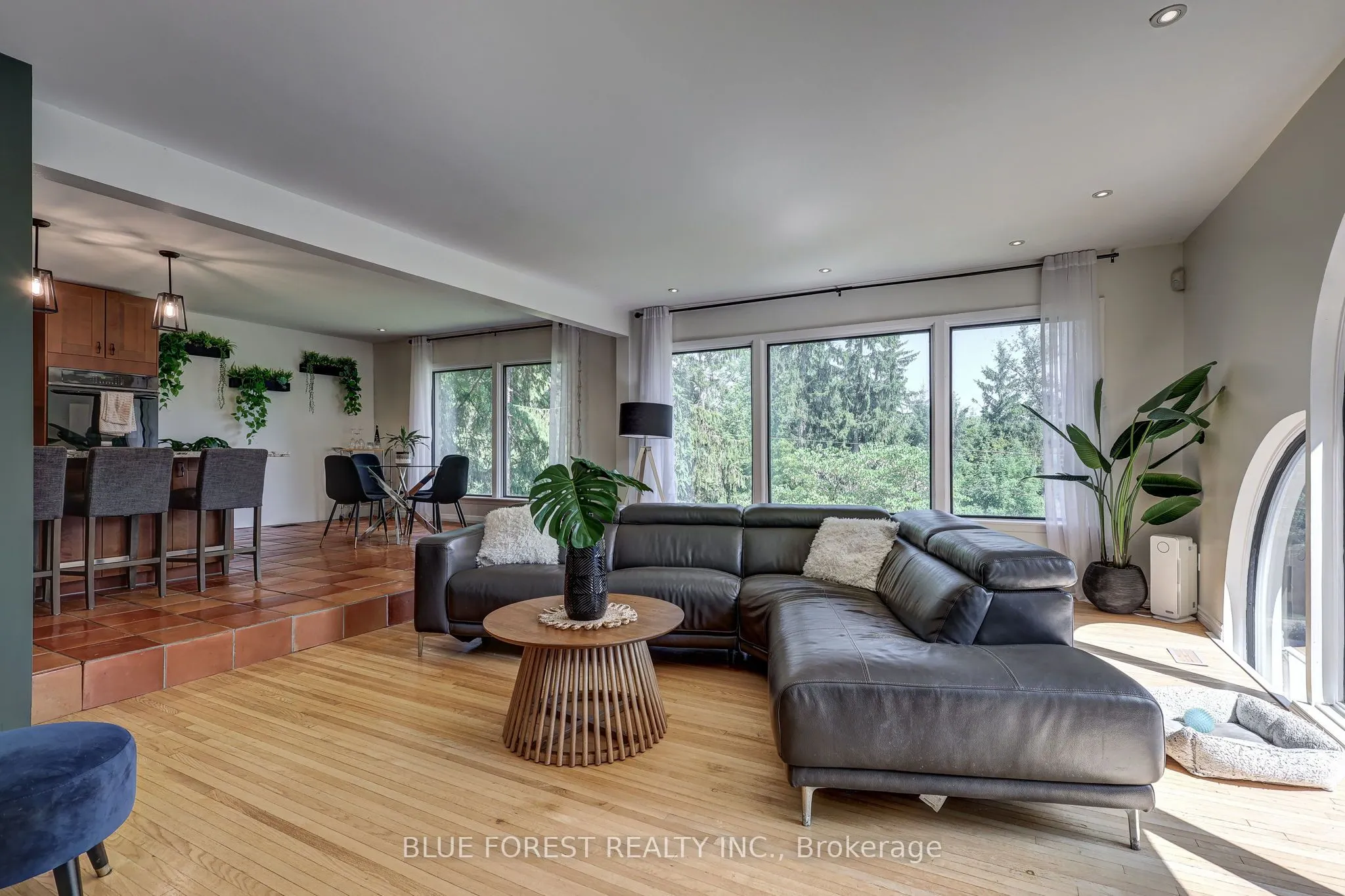 800 SPRINGBANK Drive