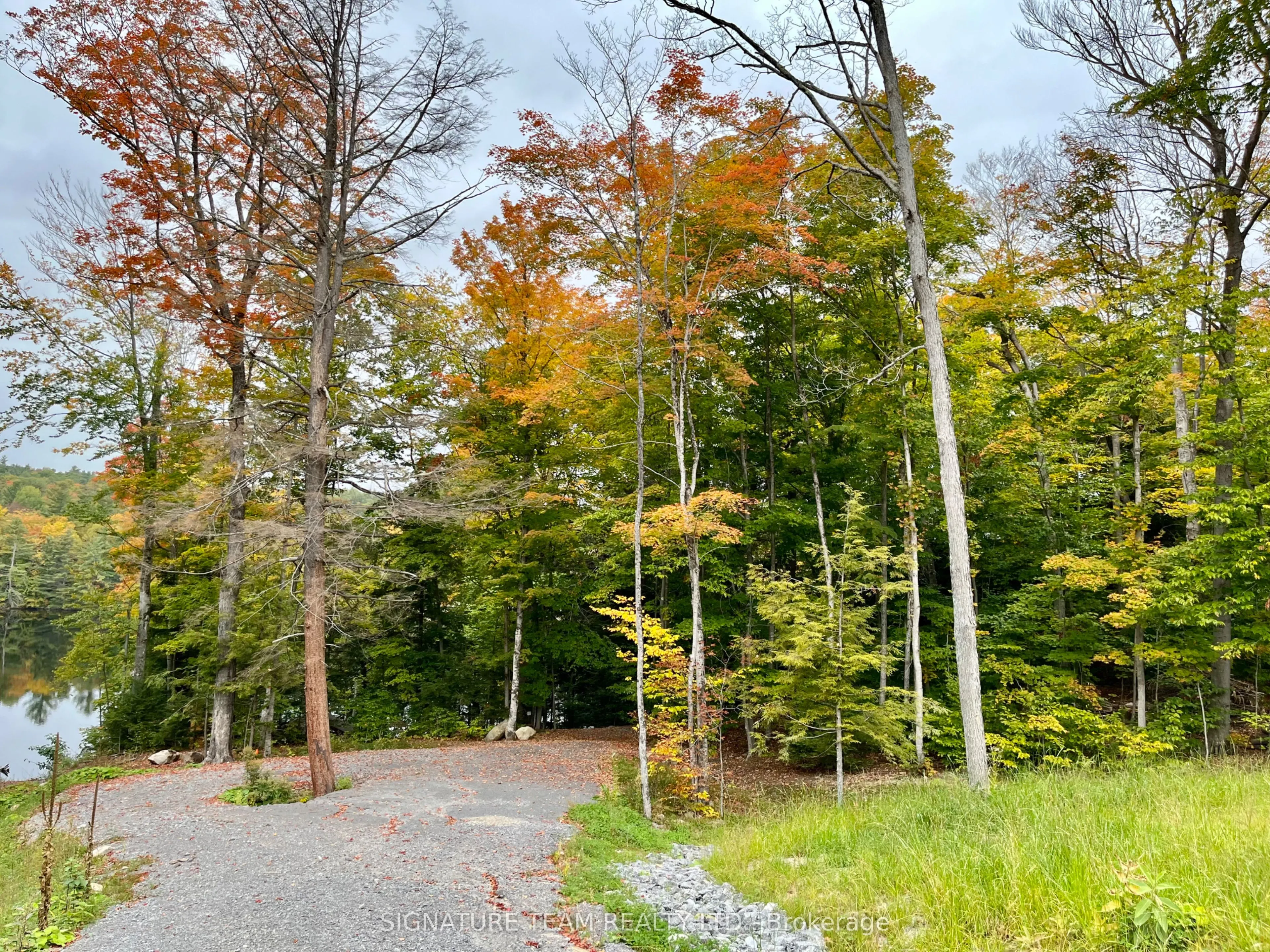 131 SHADY MAPLE Road