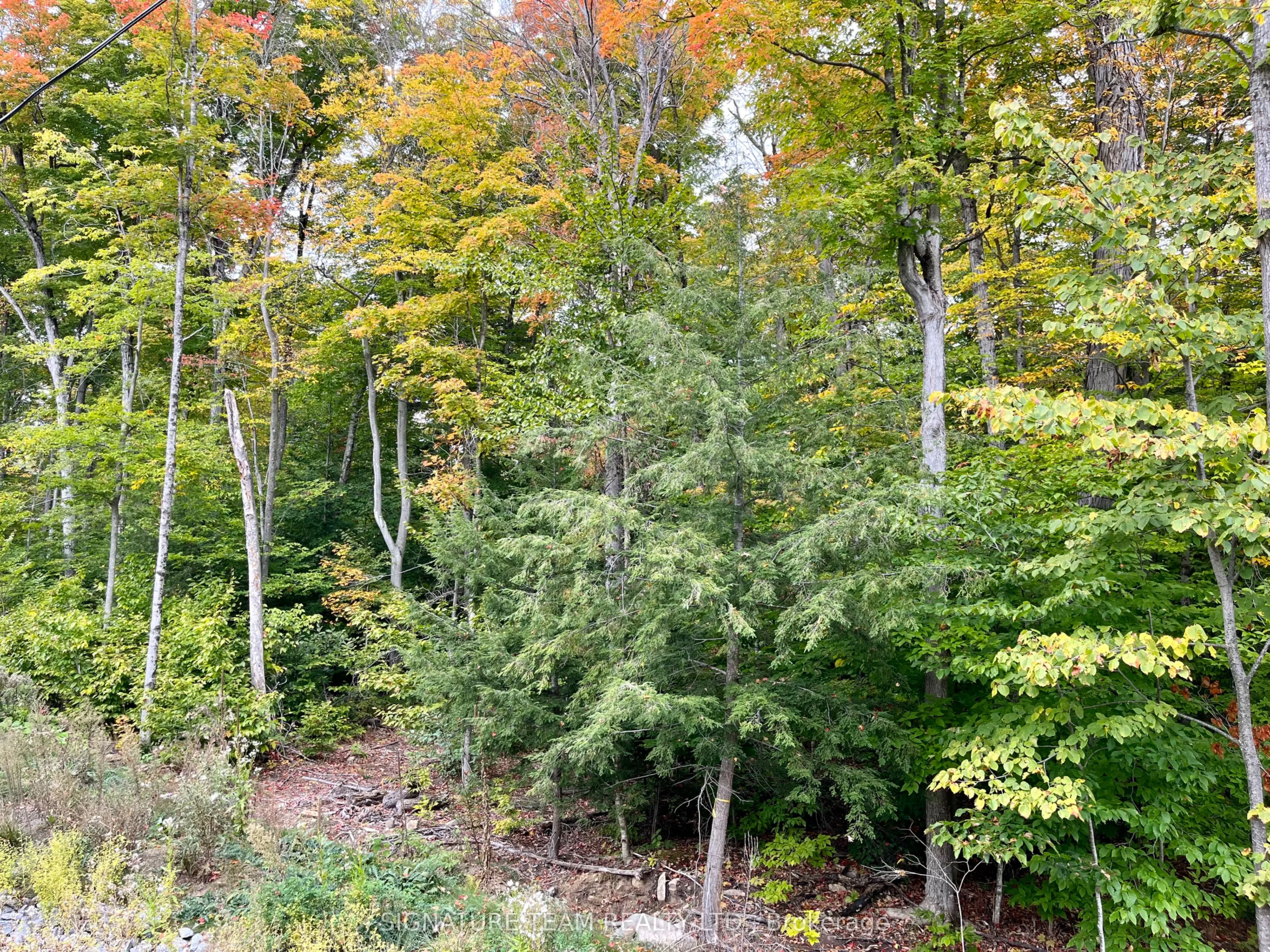 131 SHADY MAPLE Road