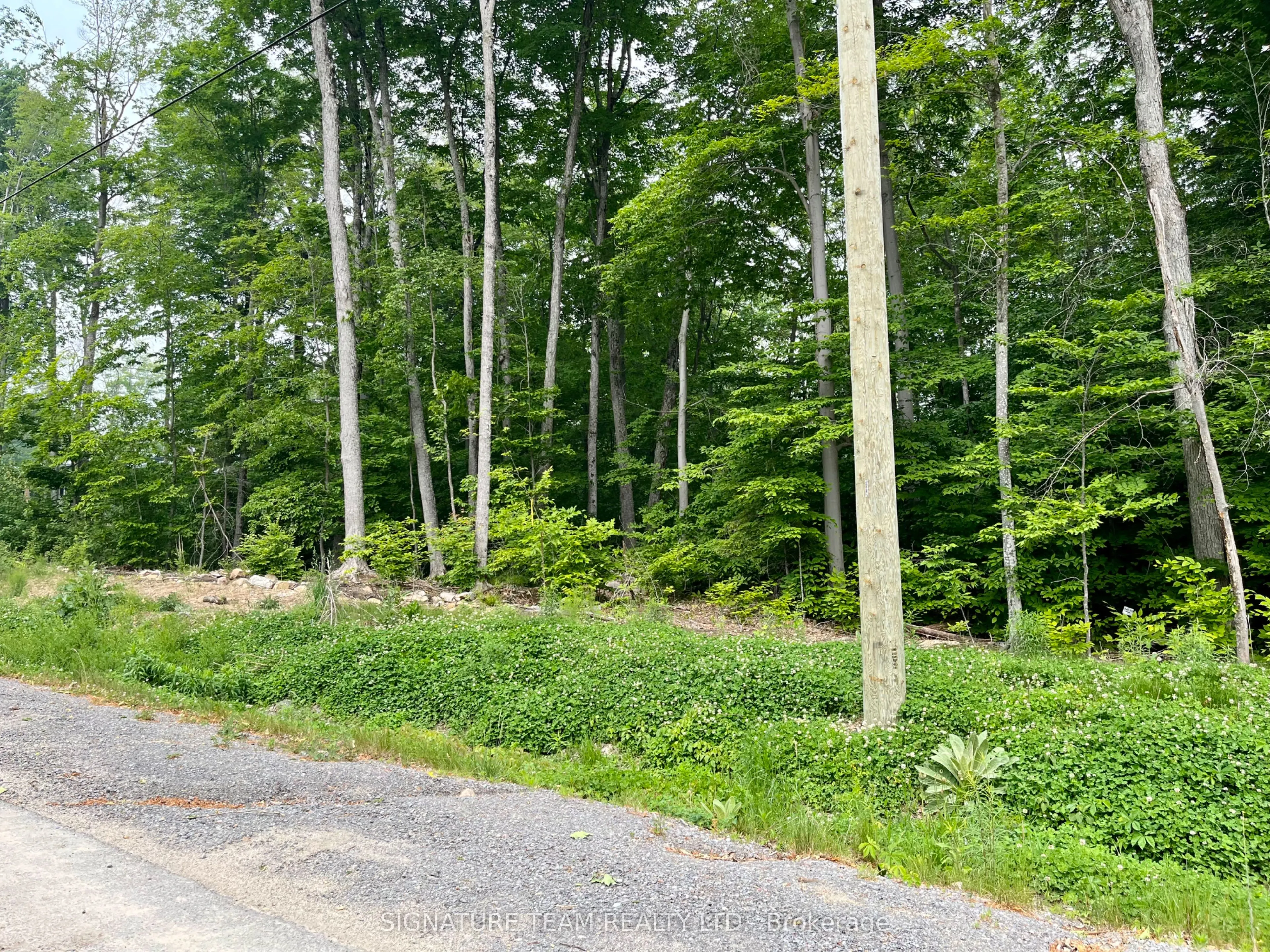 131 SHADY MAPLE Road