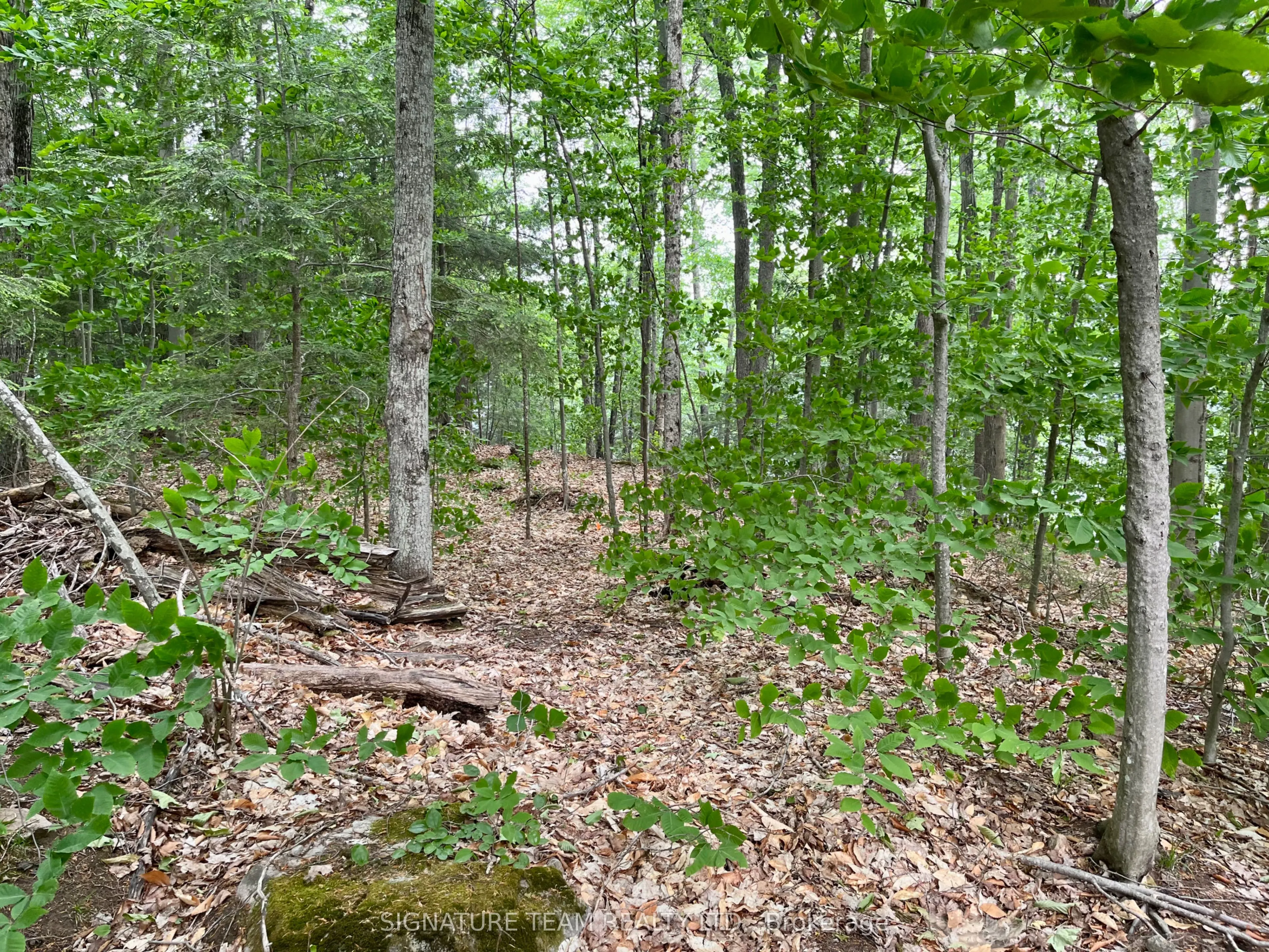 131 SHADY MAPLE Road