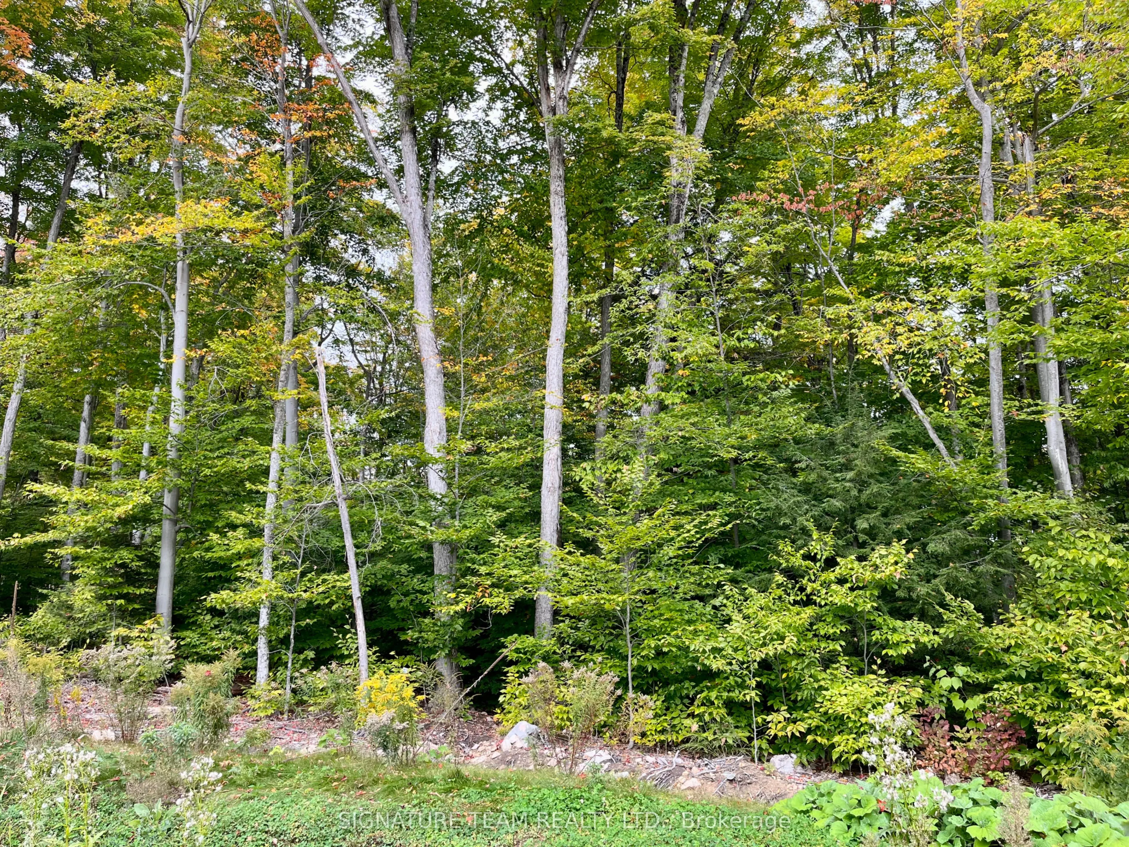 131 SHADY MAPLE Road
