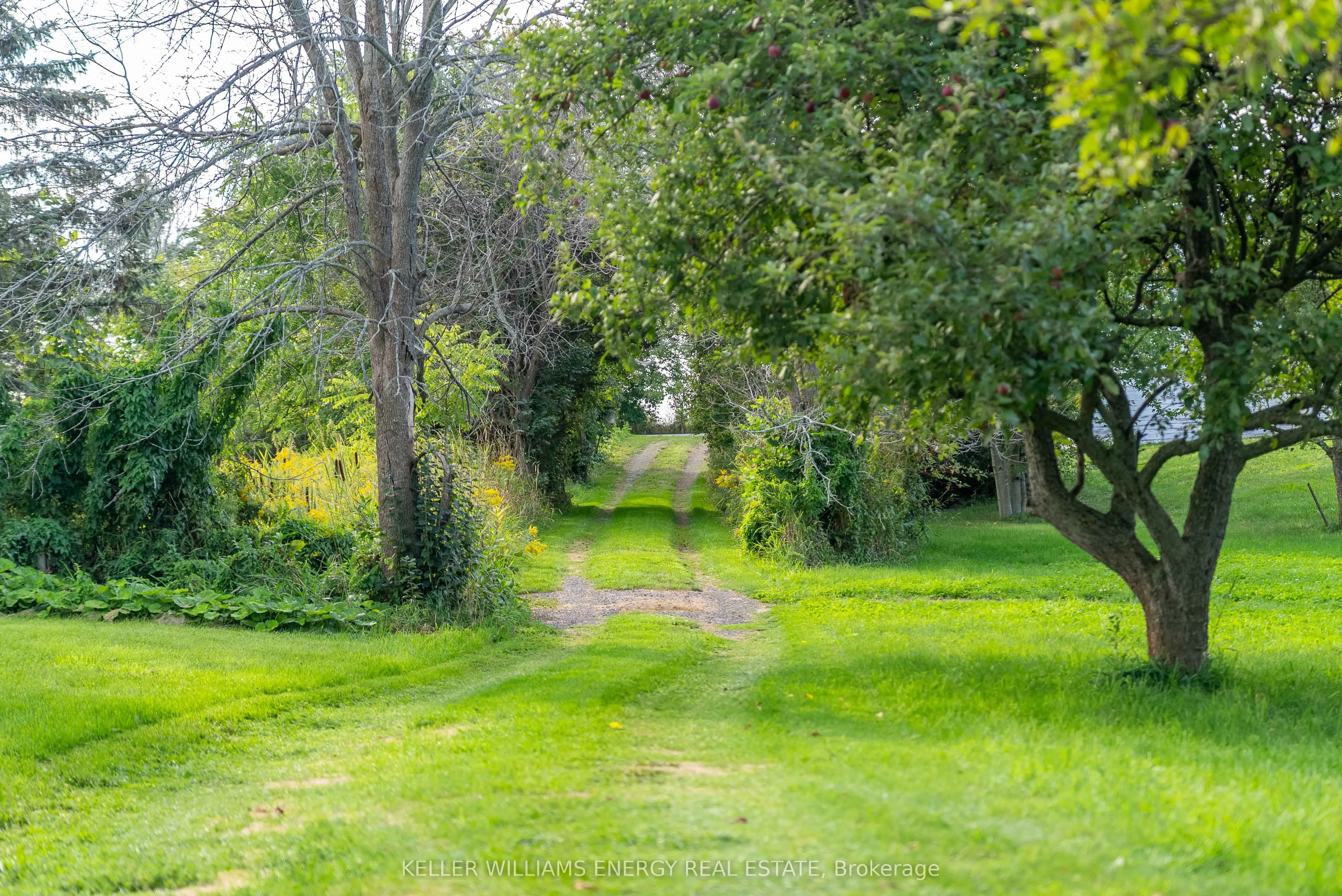 2657 County Road 13