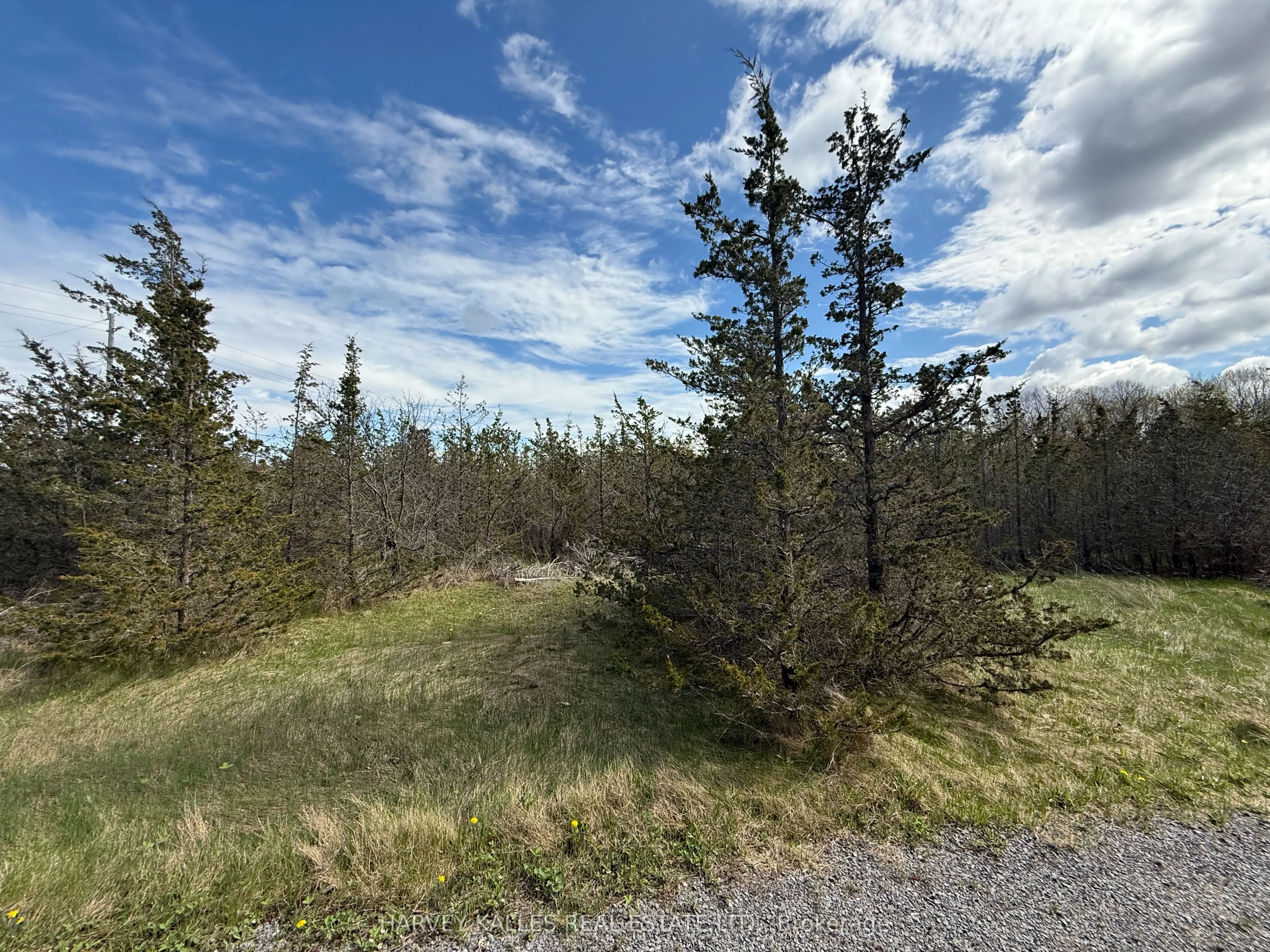 390 County Road 25