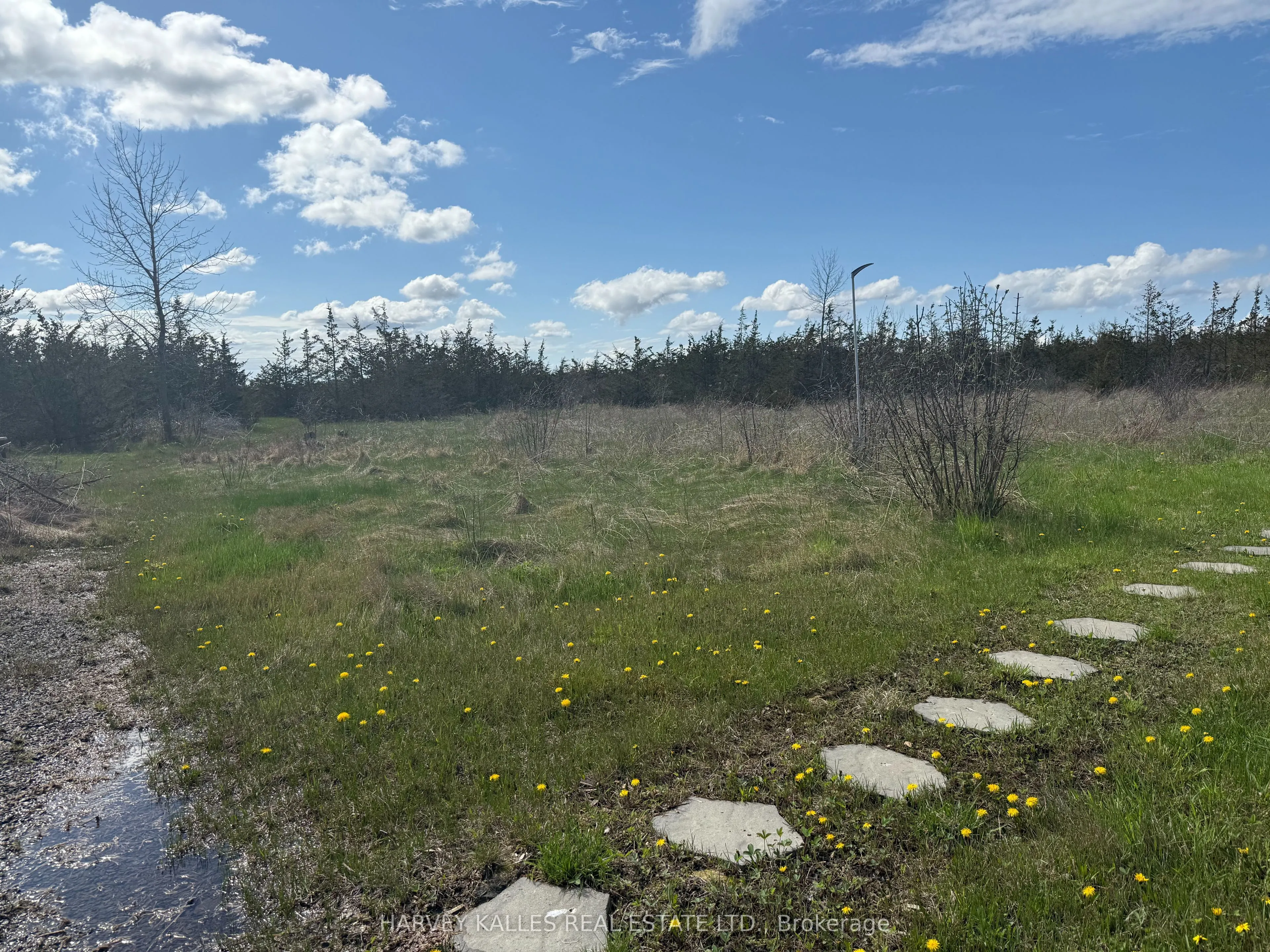 390 County Road 25