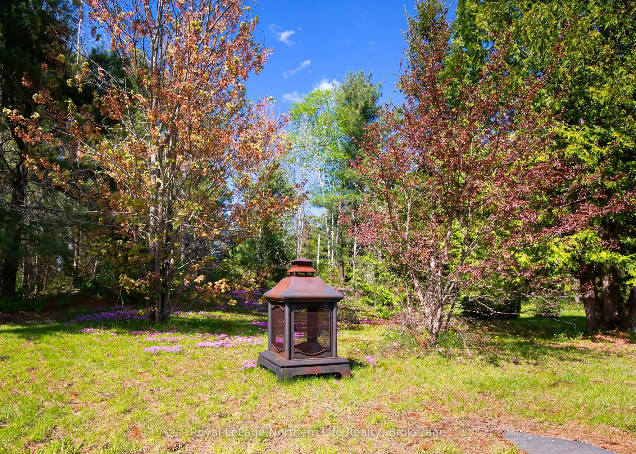 81 Bear Lake Road