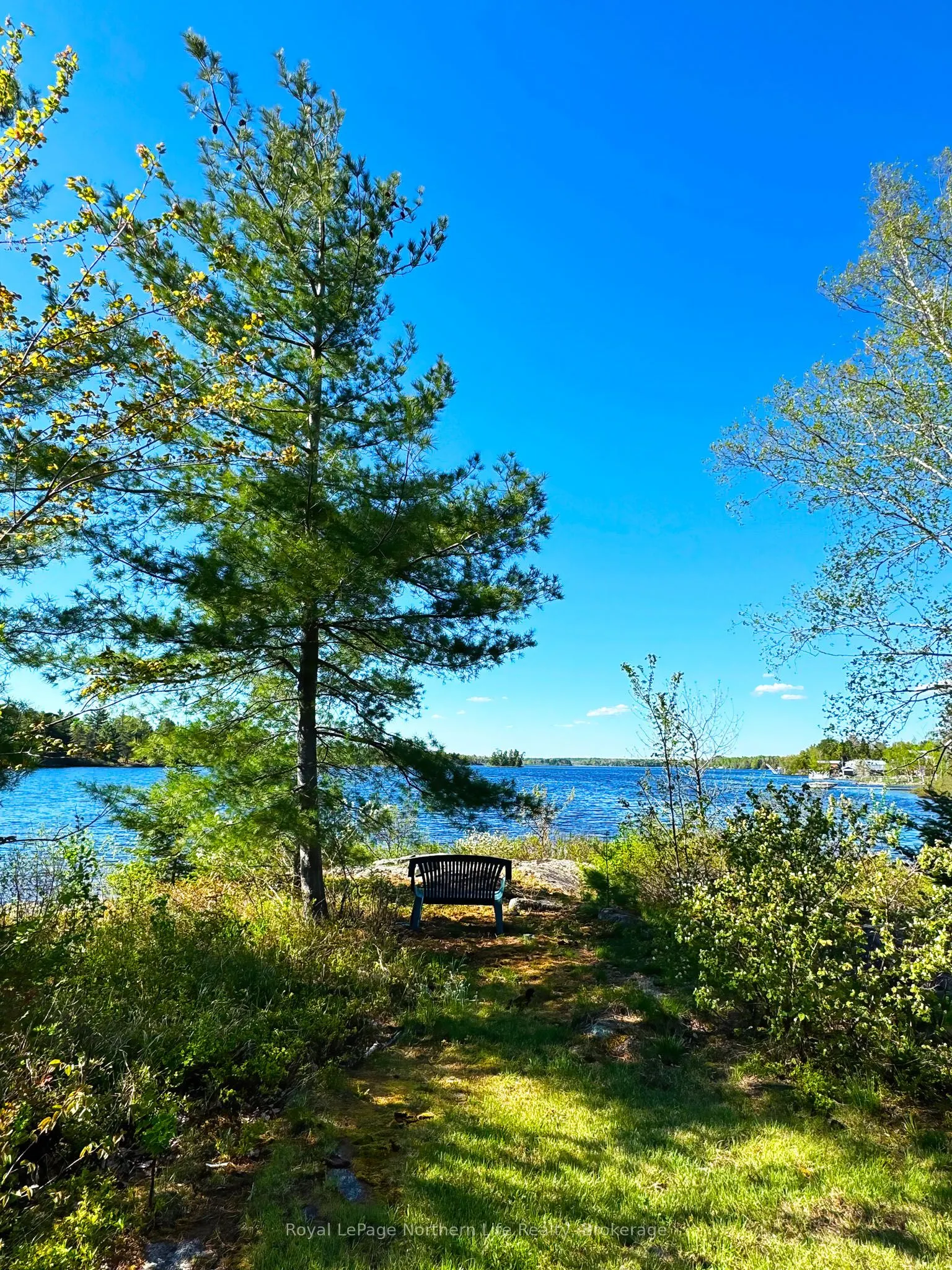 81 Bear Lake Road