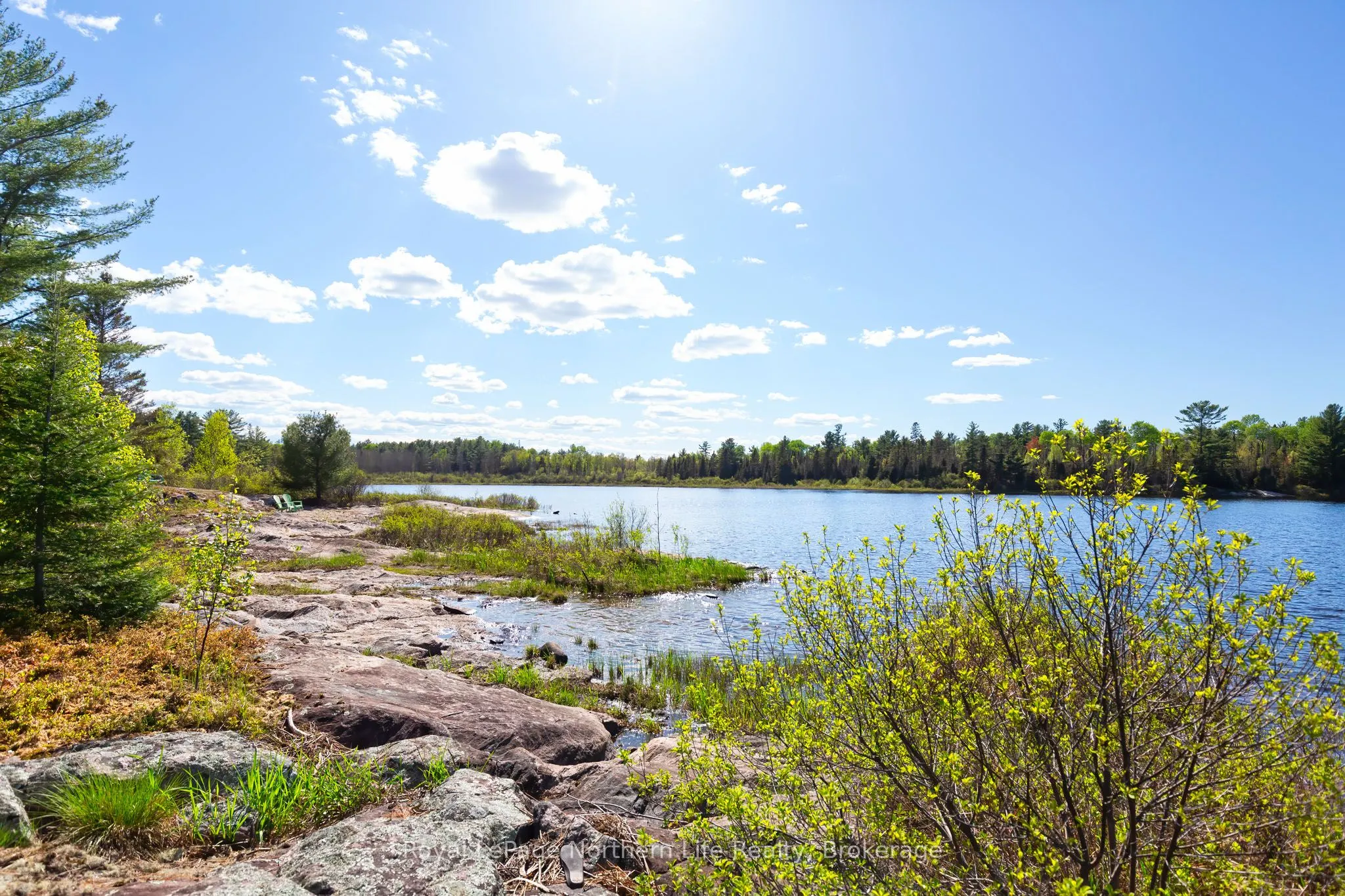 81 Bear Lake Road