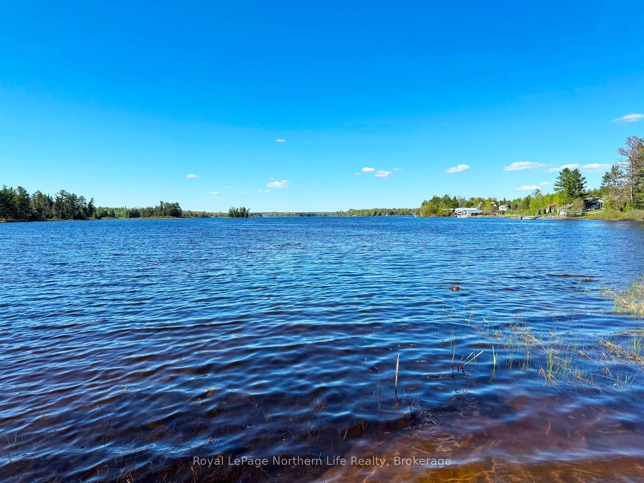 81 Bear Lake Road
