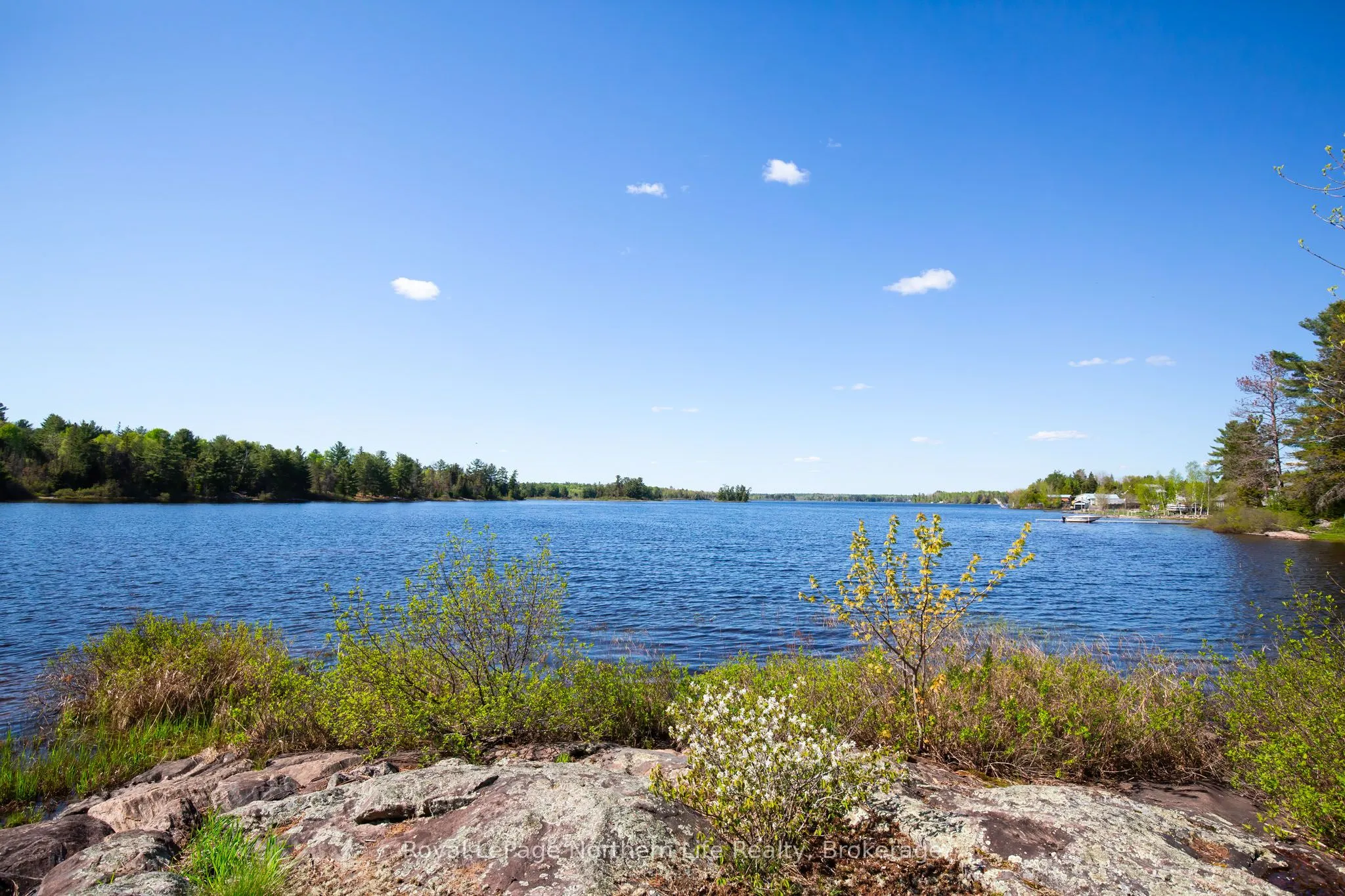81 Bear Lake Road