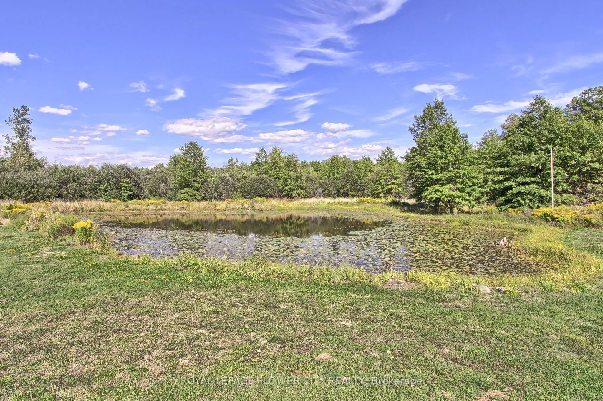 4161 White Road