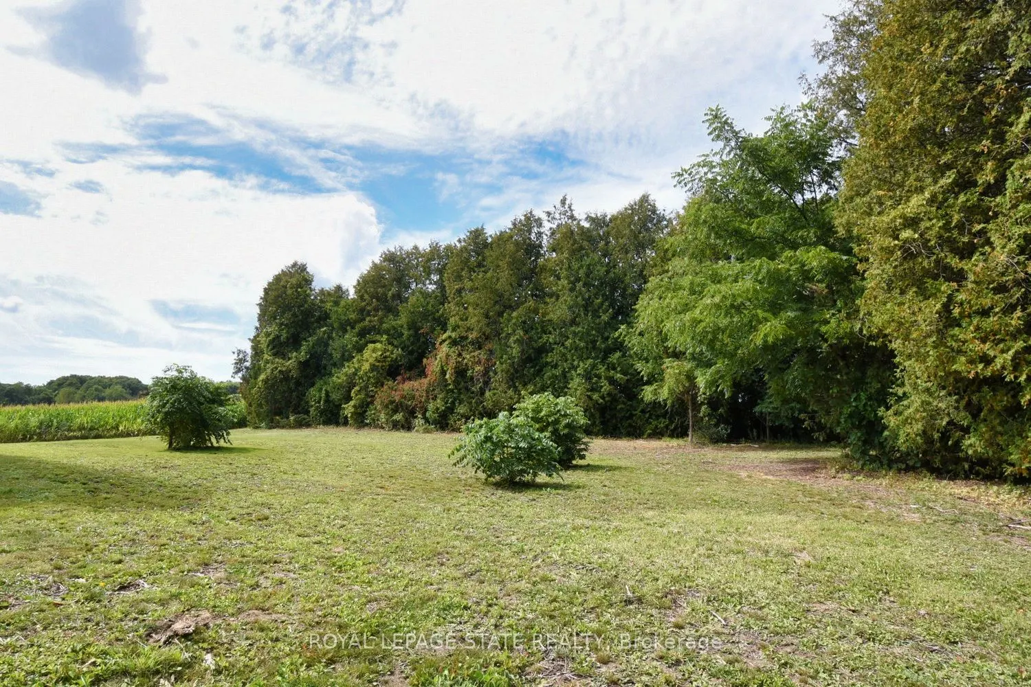 8125 Dickenson Road E