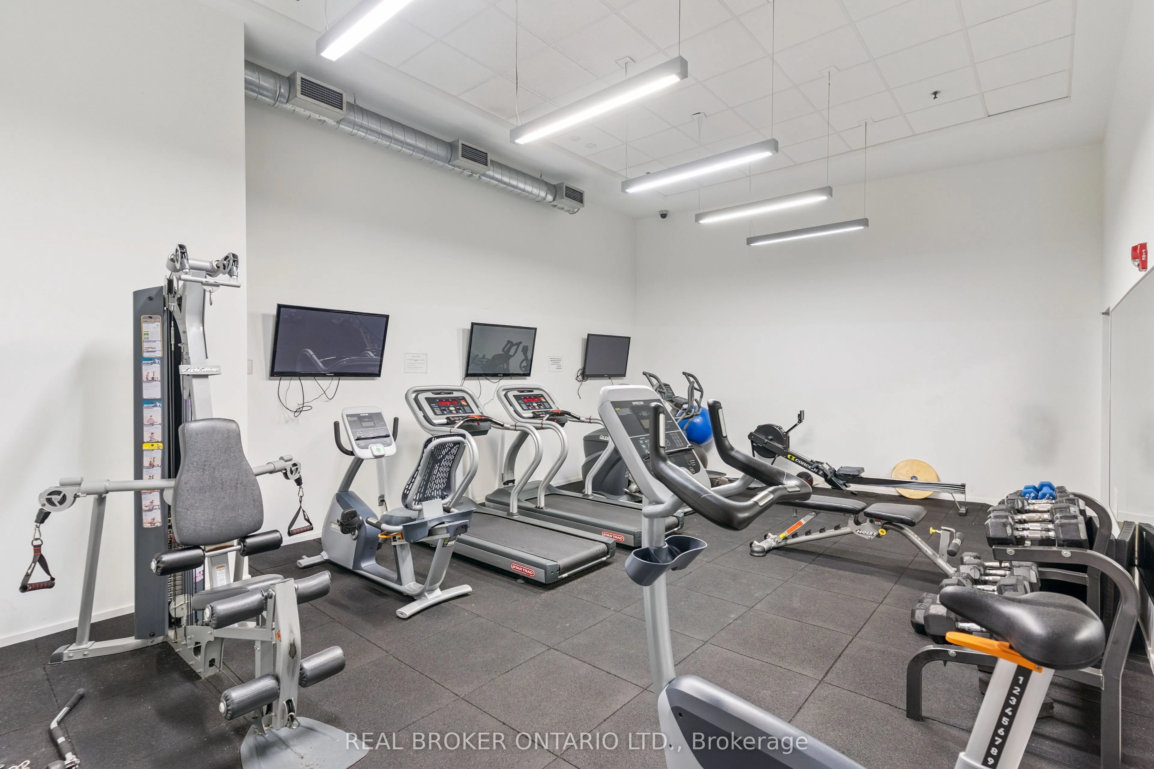 349 Mcleod Street, #623