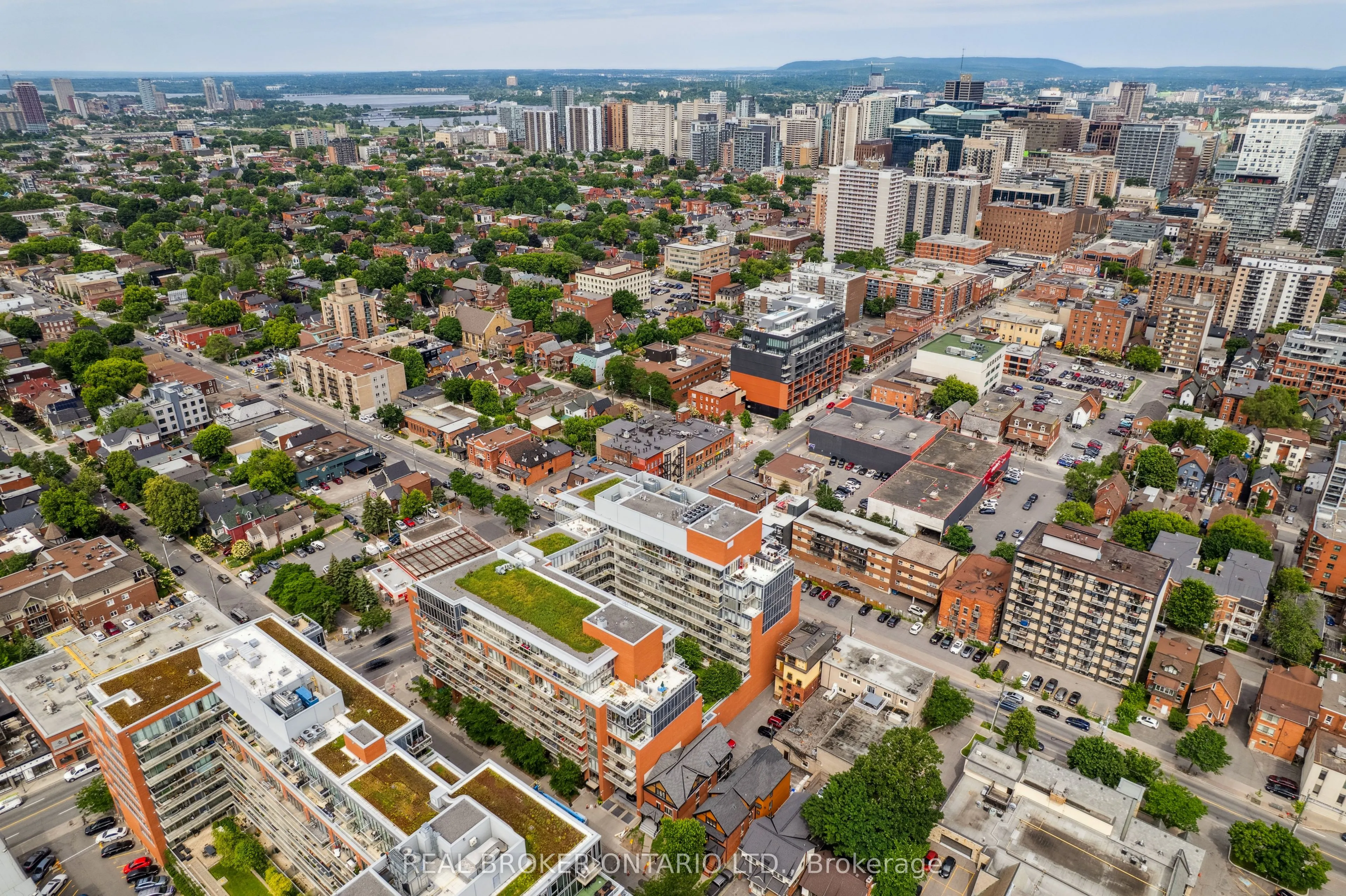 349 Mcleod Street, #623