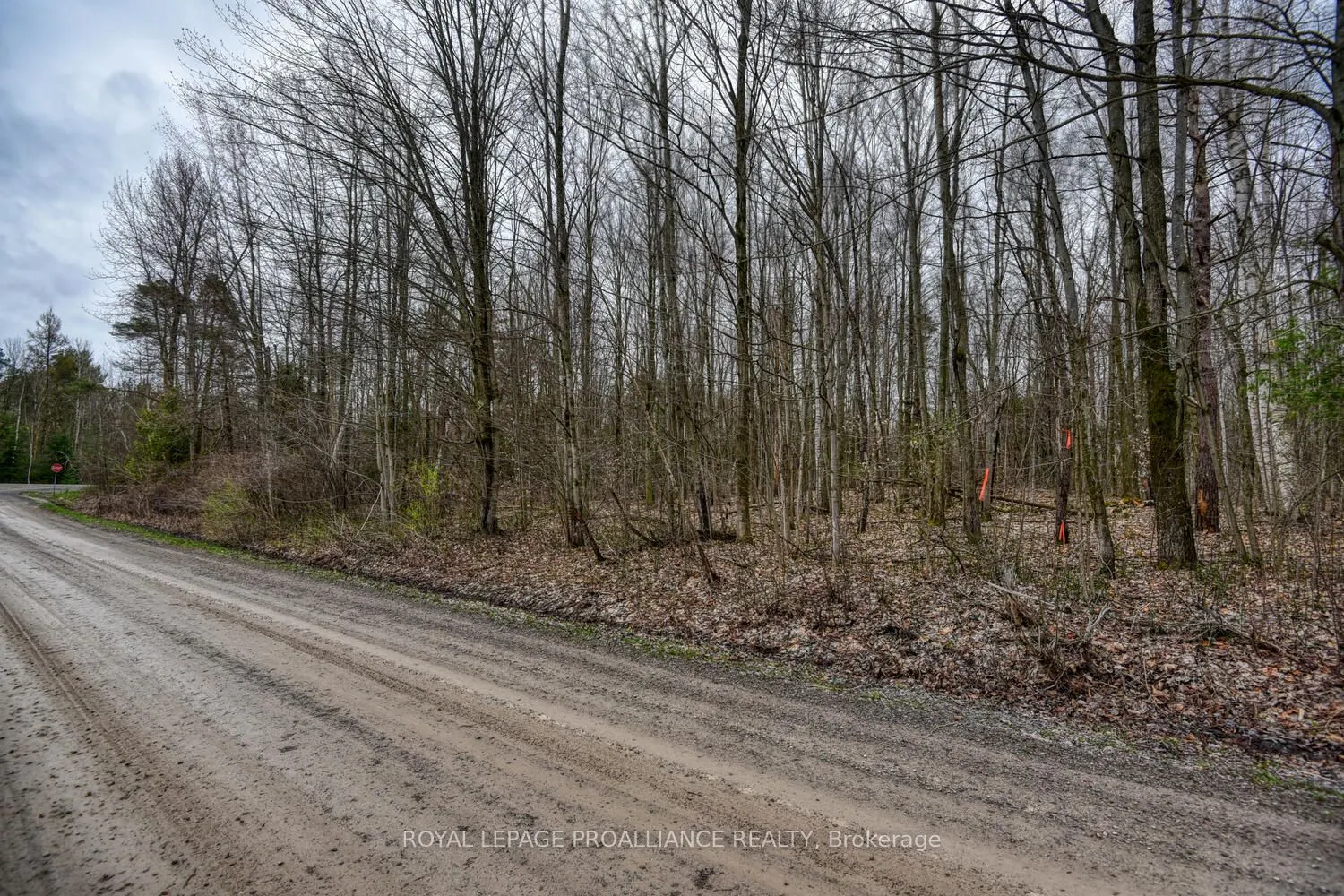 0 HAGGART SIDE Road