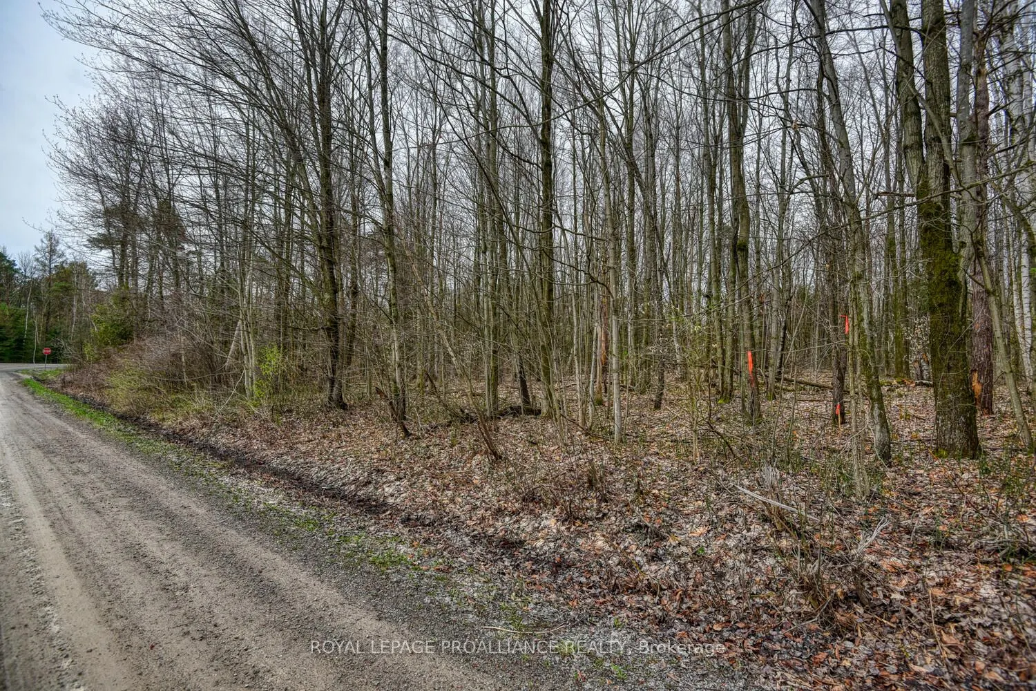 0 HAGGART SIDE Road