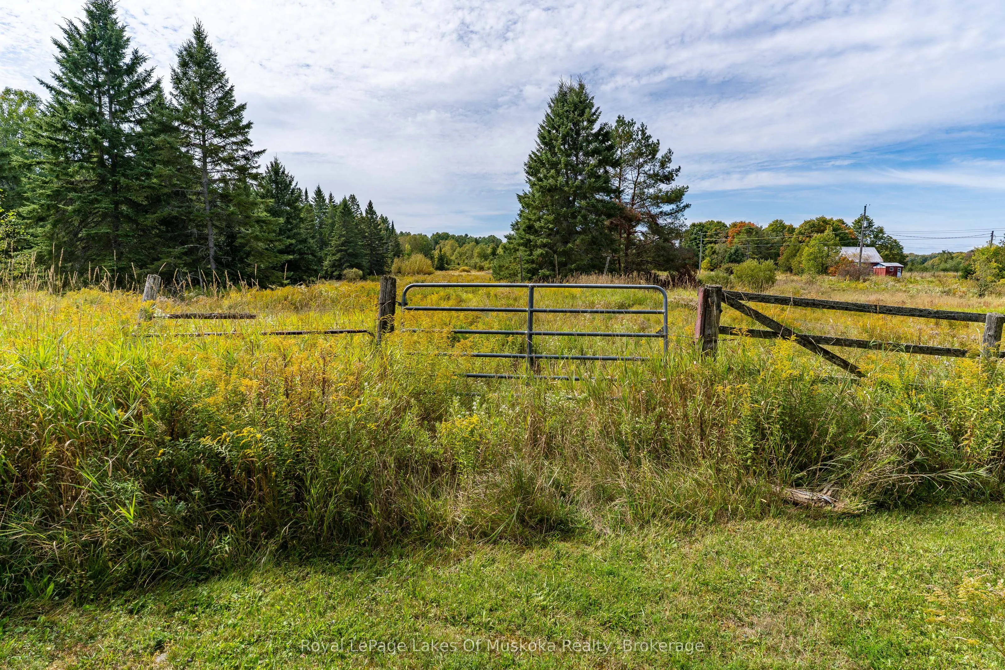 1419 Beatrice Townline Road