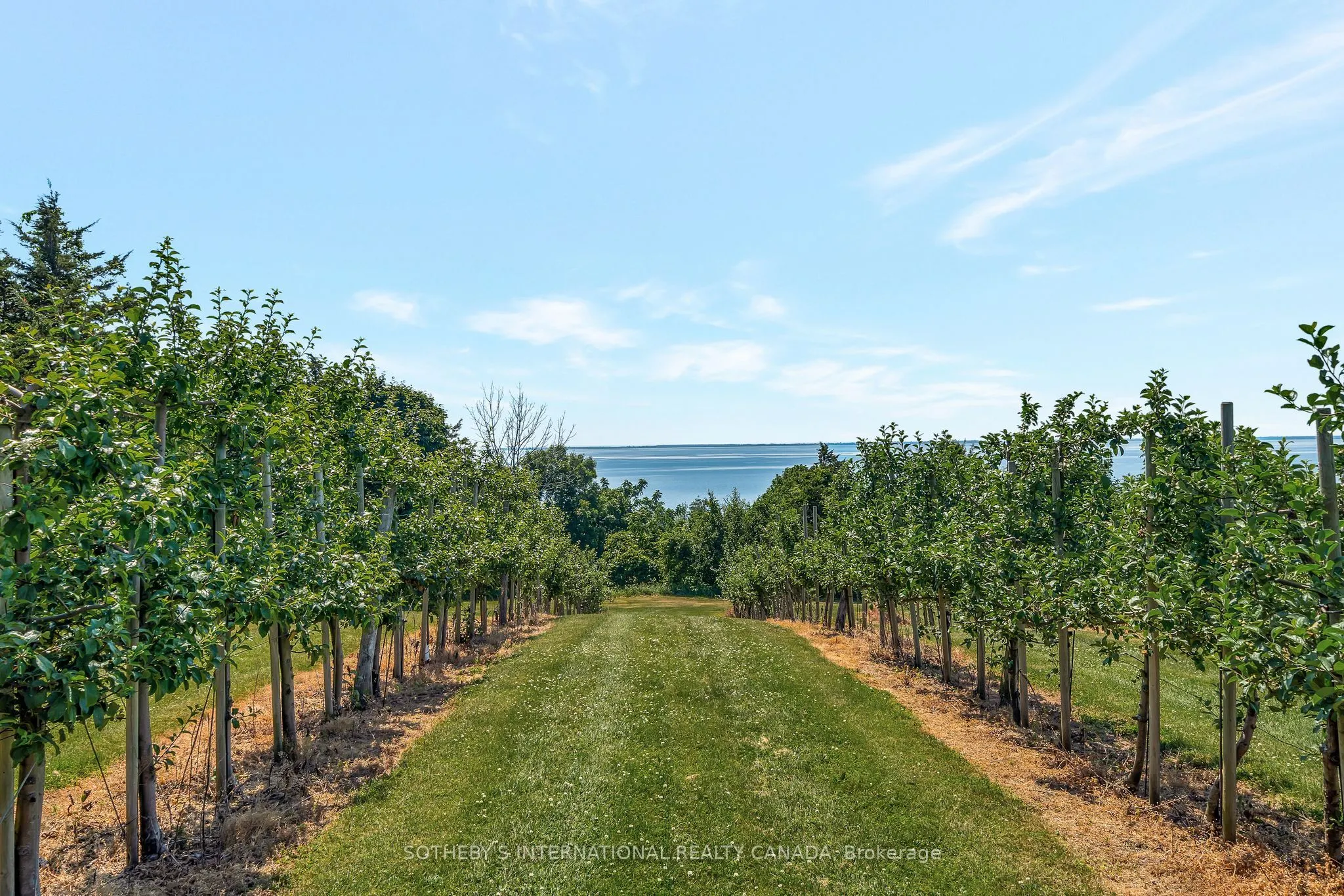 657 Bongards Cross Road