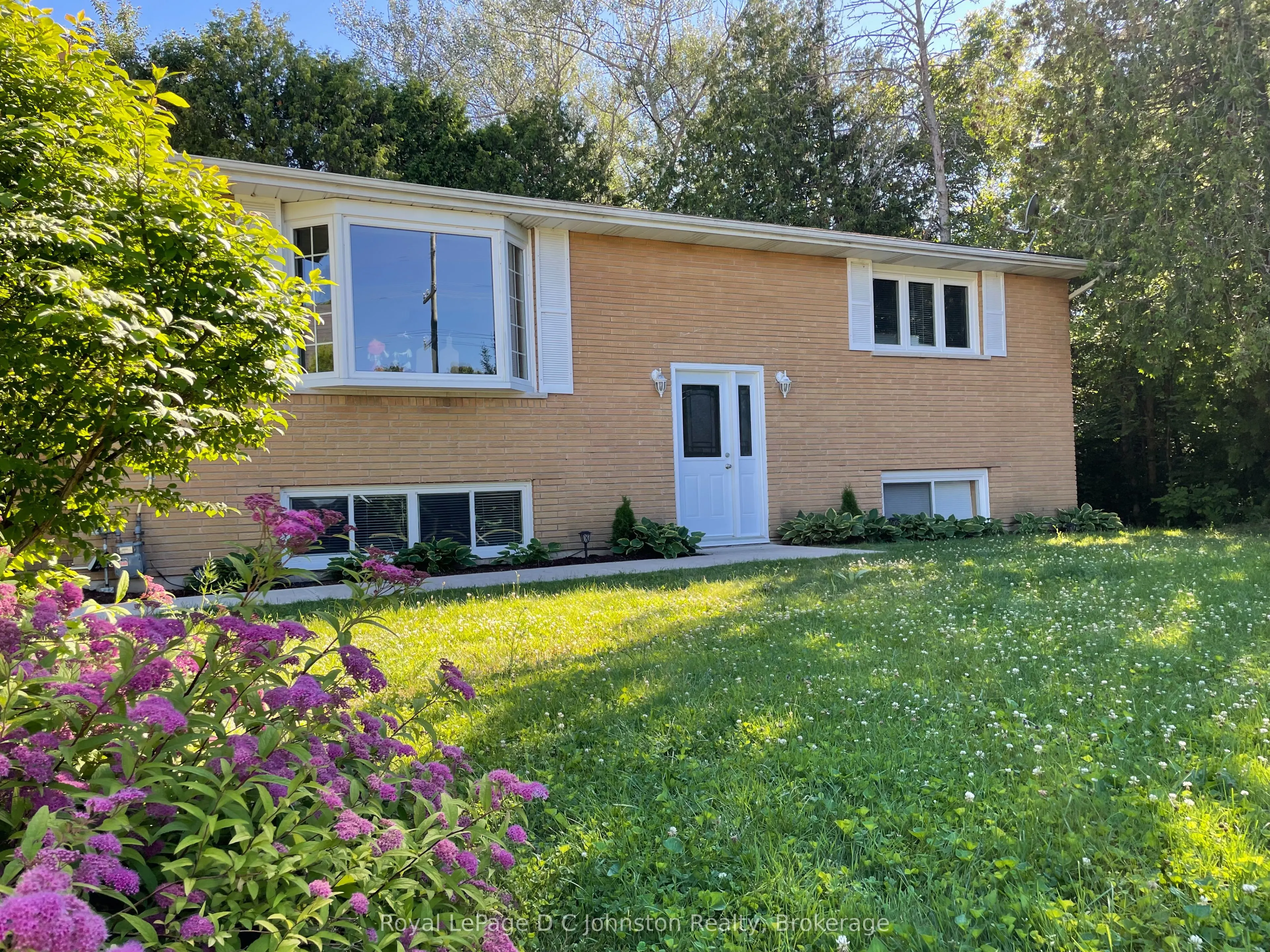 341 Palmerston Street