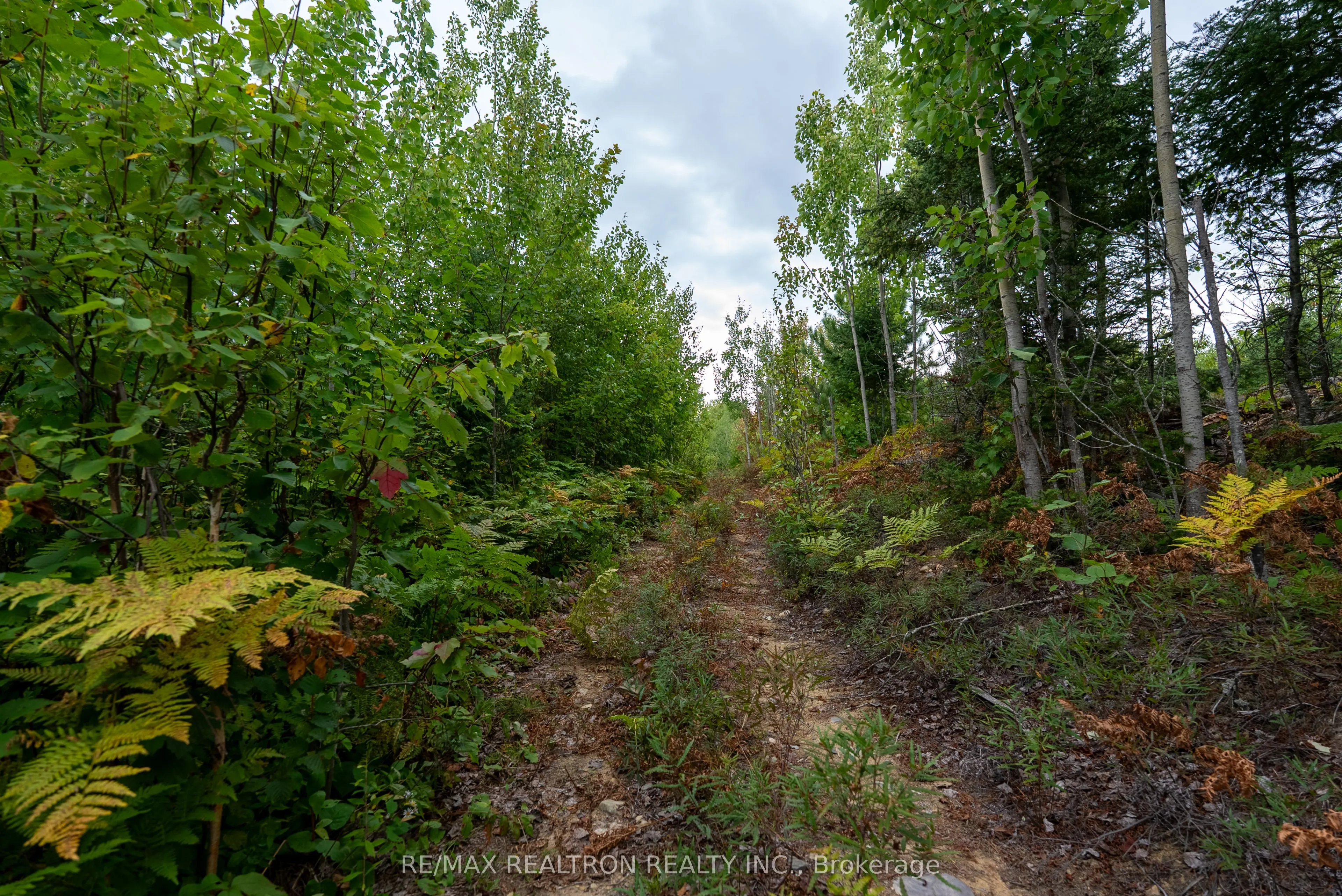 Lot 7 Con 6 LABROSSE Road W