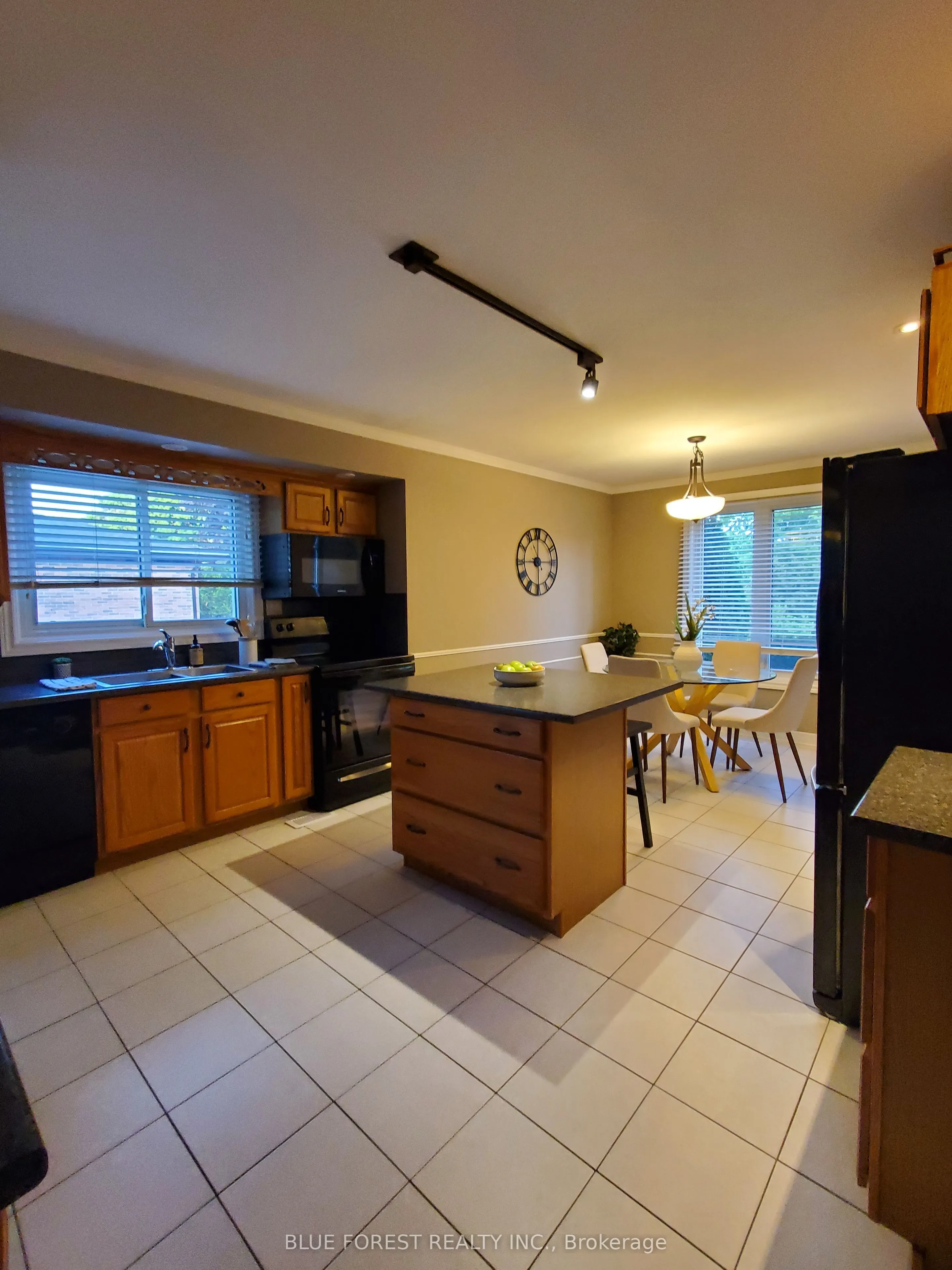 1039 Osgoode Drive