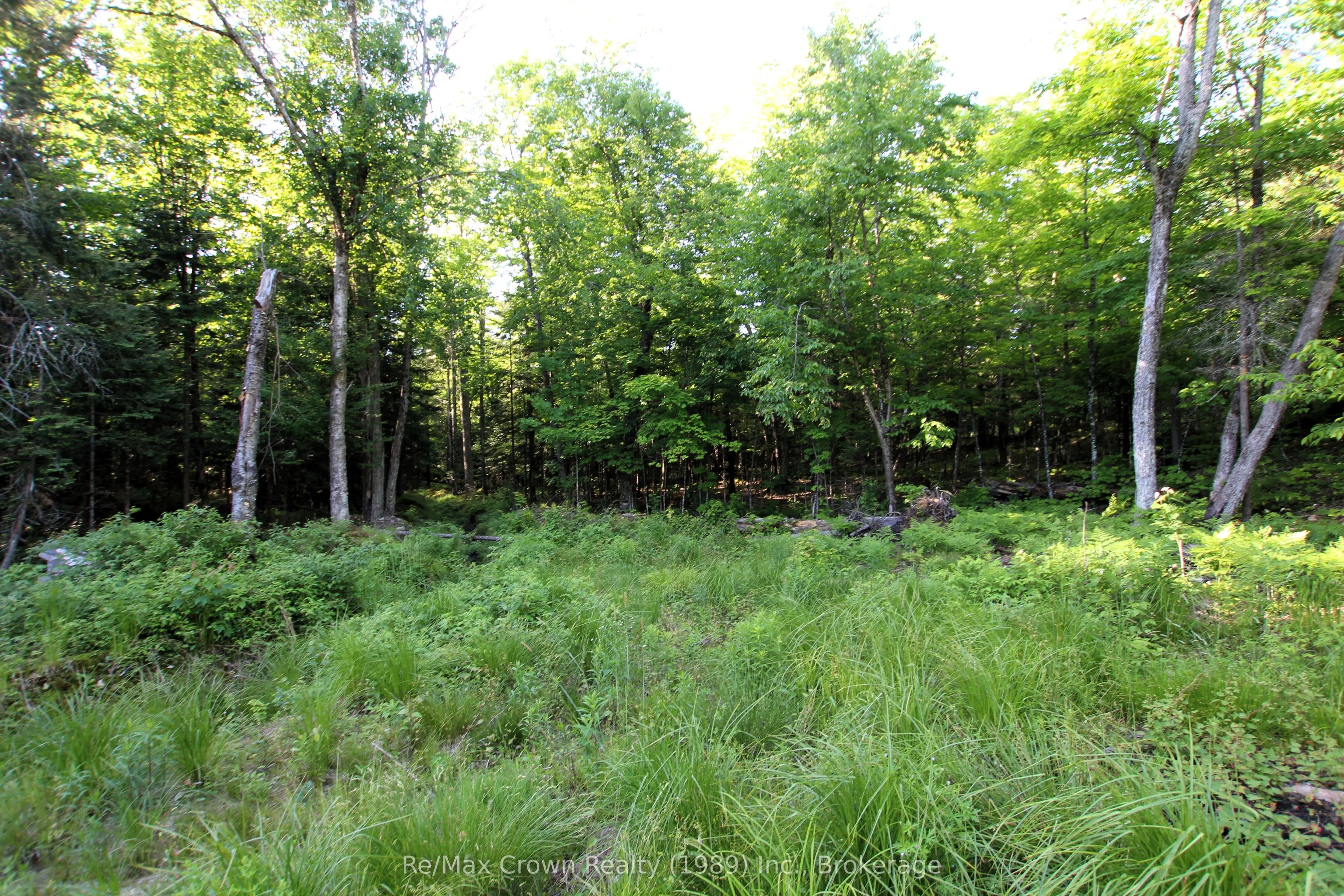 453 Pilgers Road