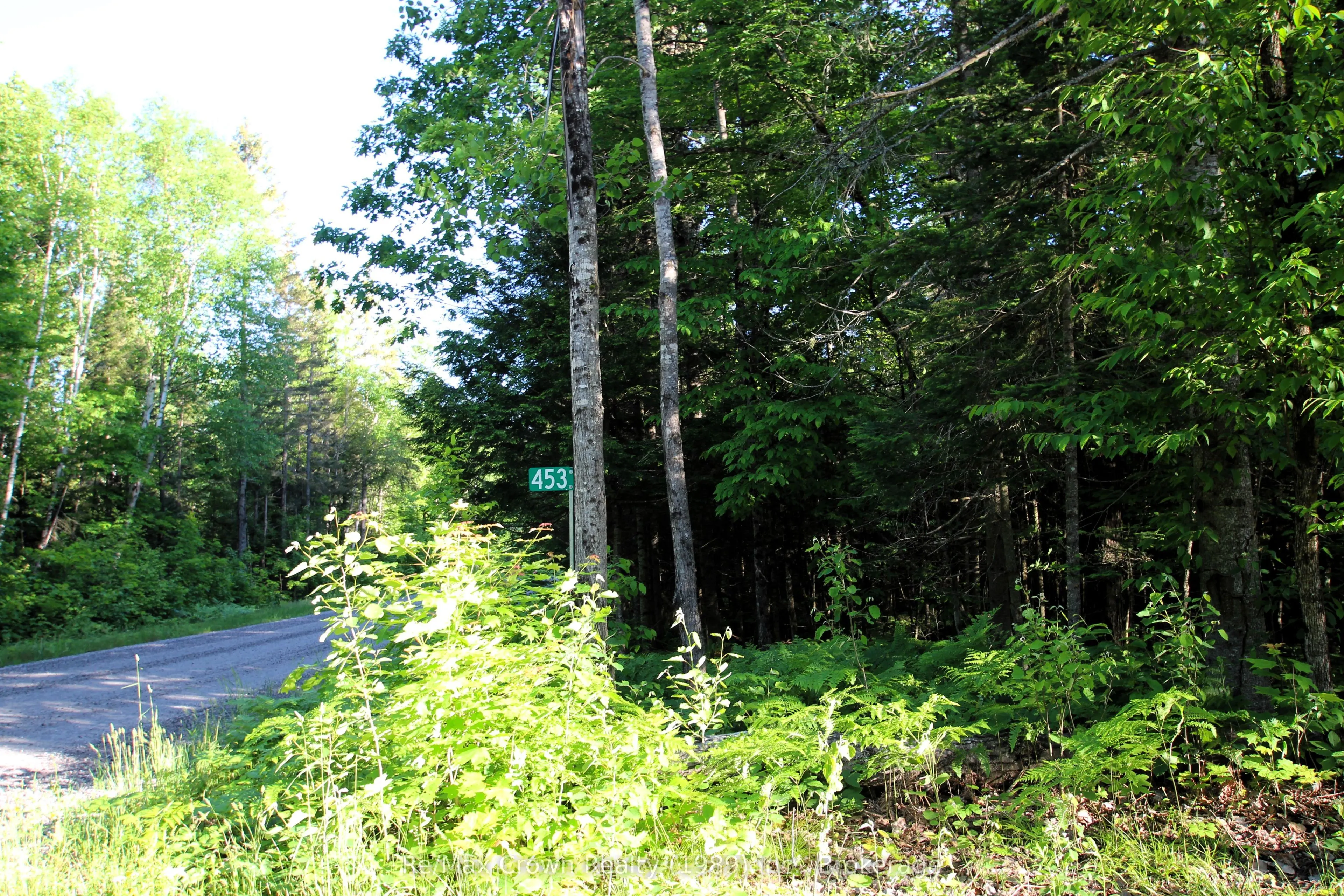 453 Pilgers Road