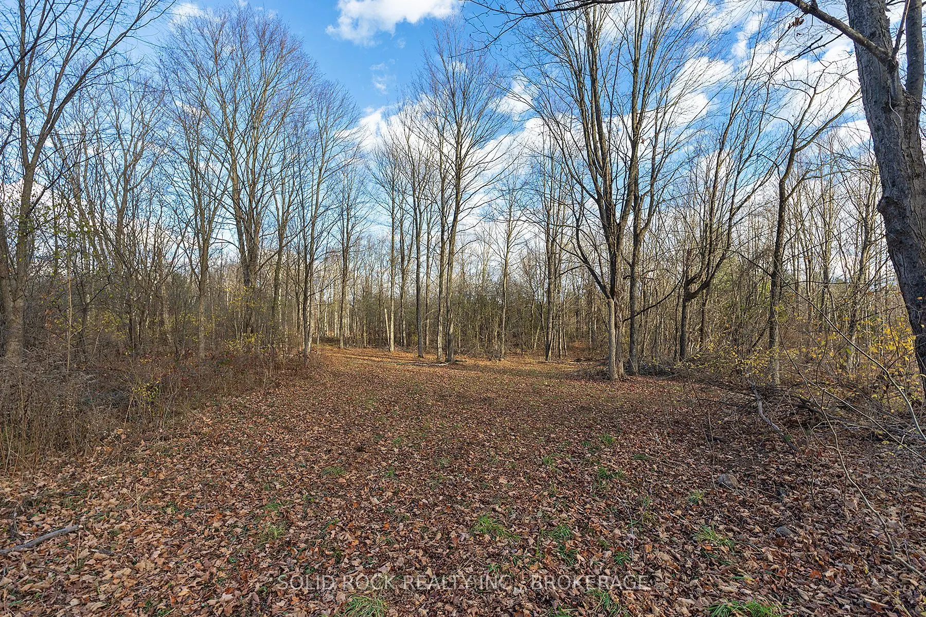 4419 Old Kingston Road