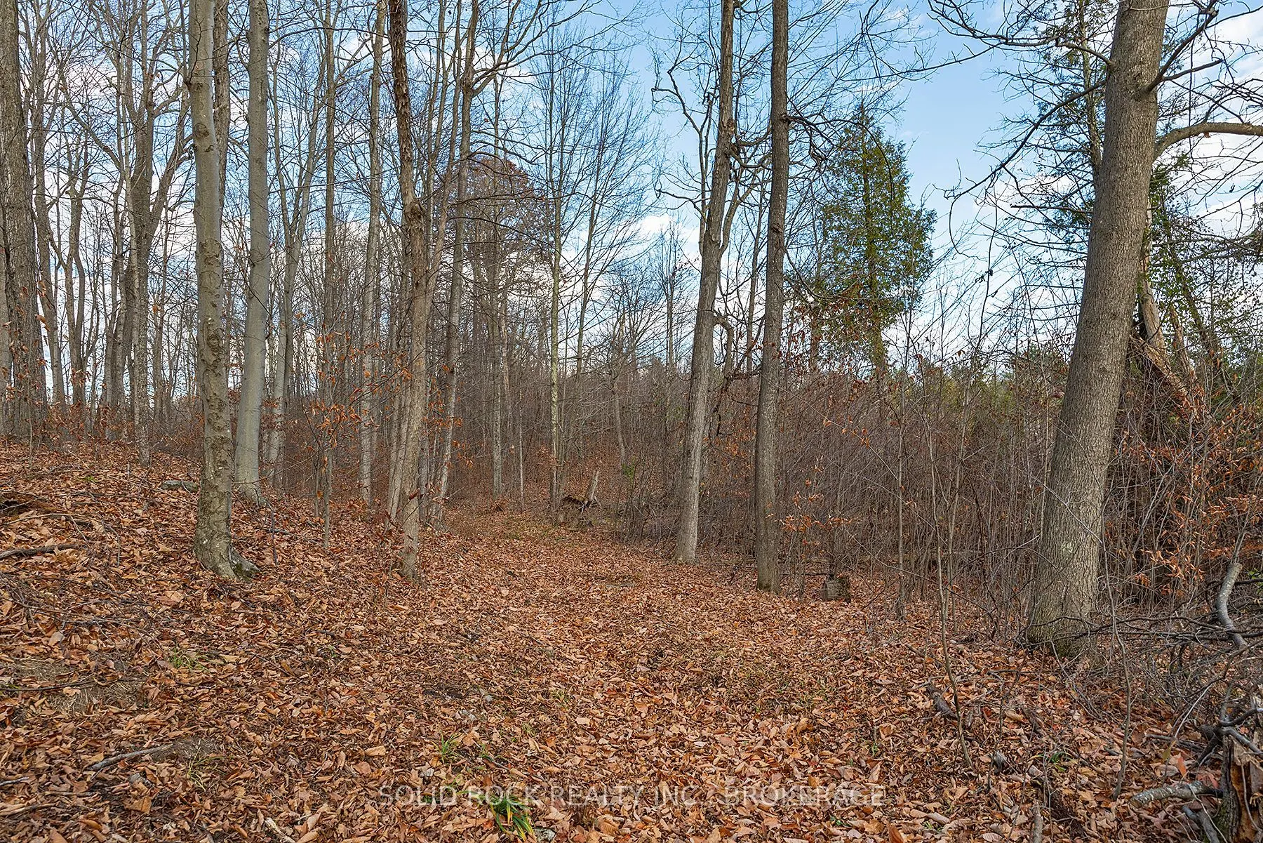 4419 Old Kingston Road