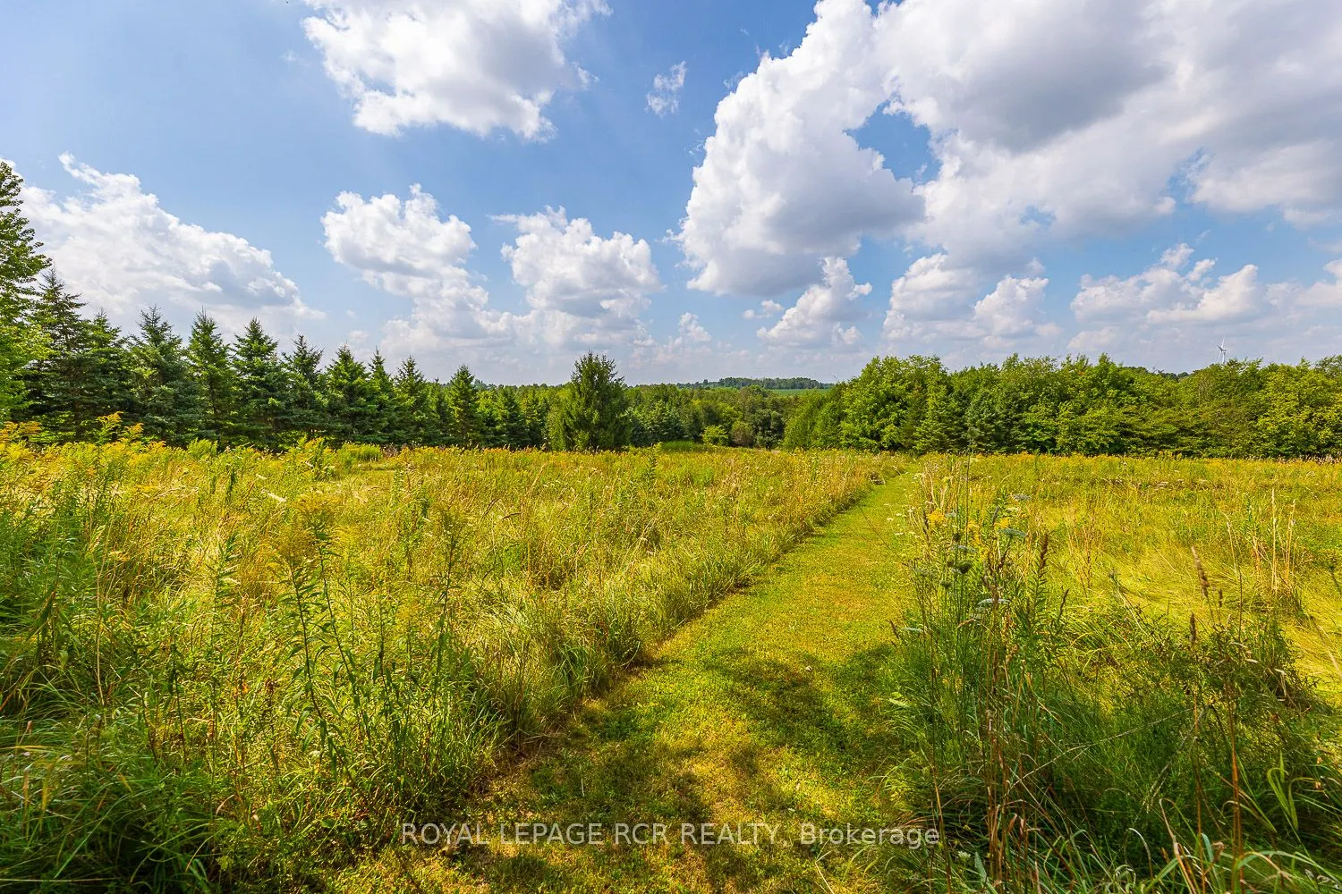 282398 County Rd 10