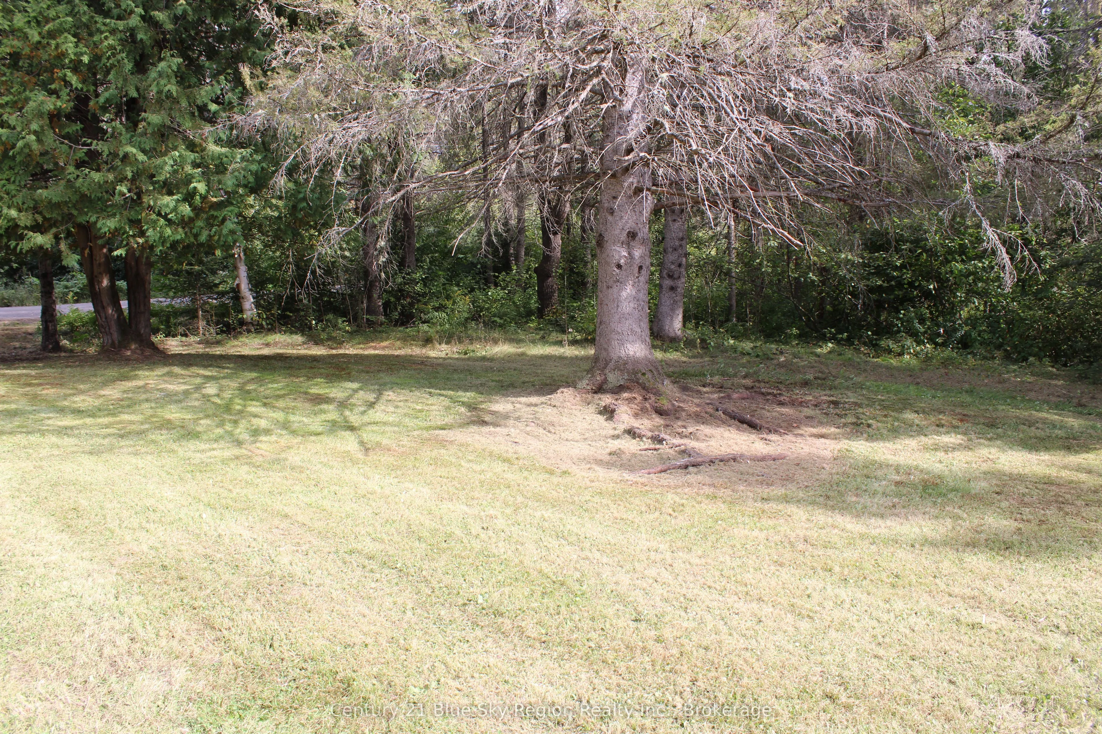 531 Oakwood Road