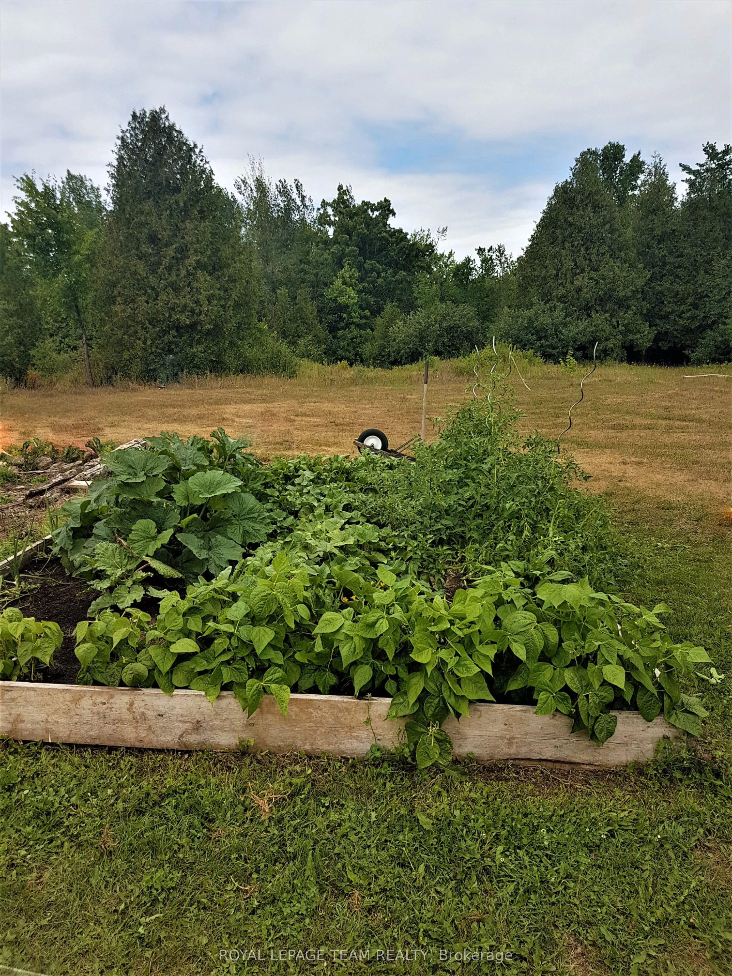 450 Davis Side Road