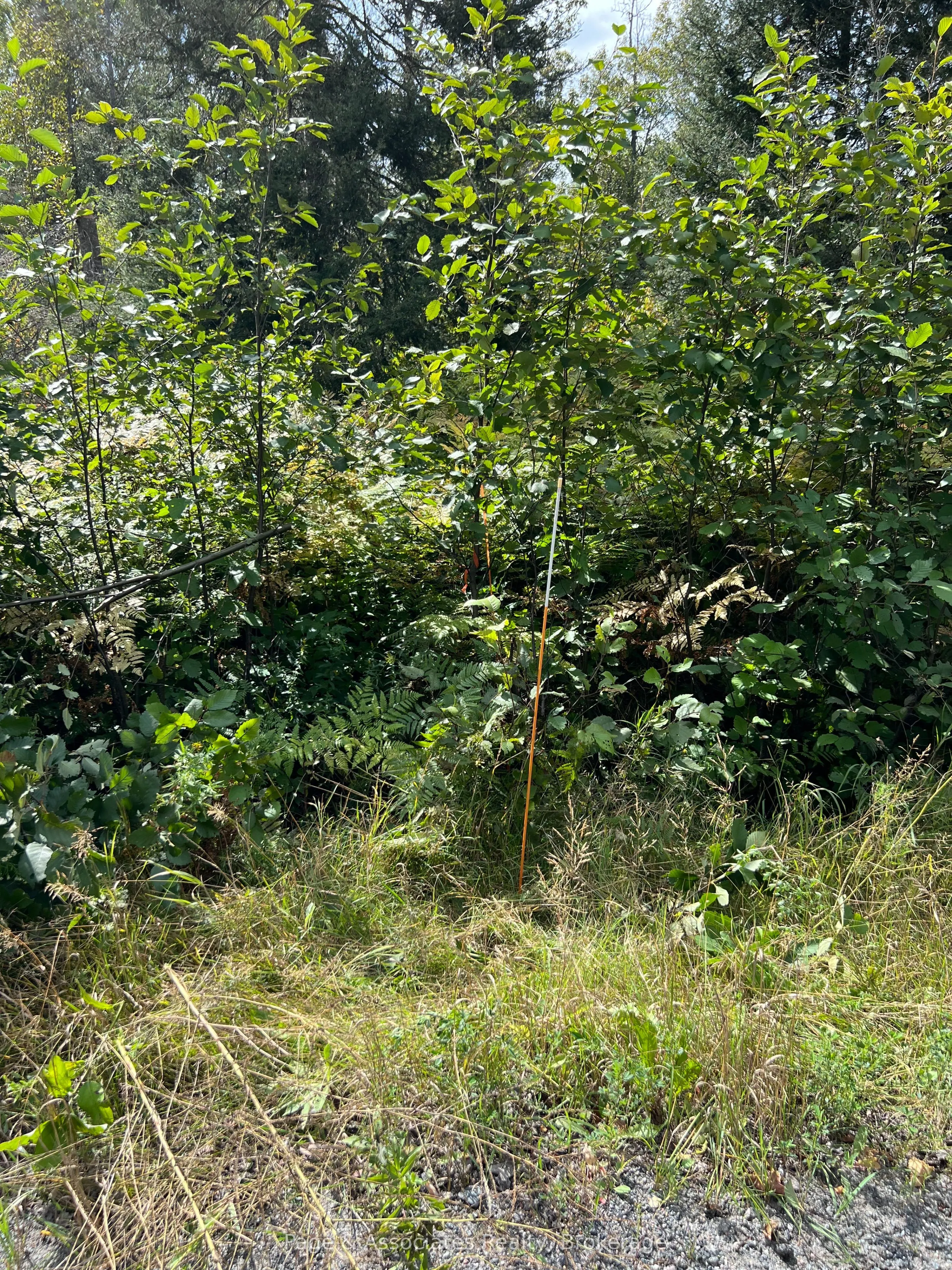 Part 2 Highway 539a