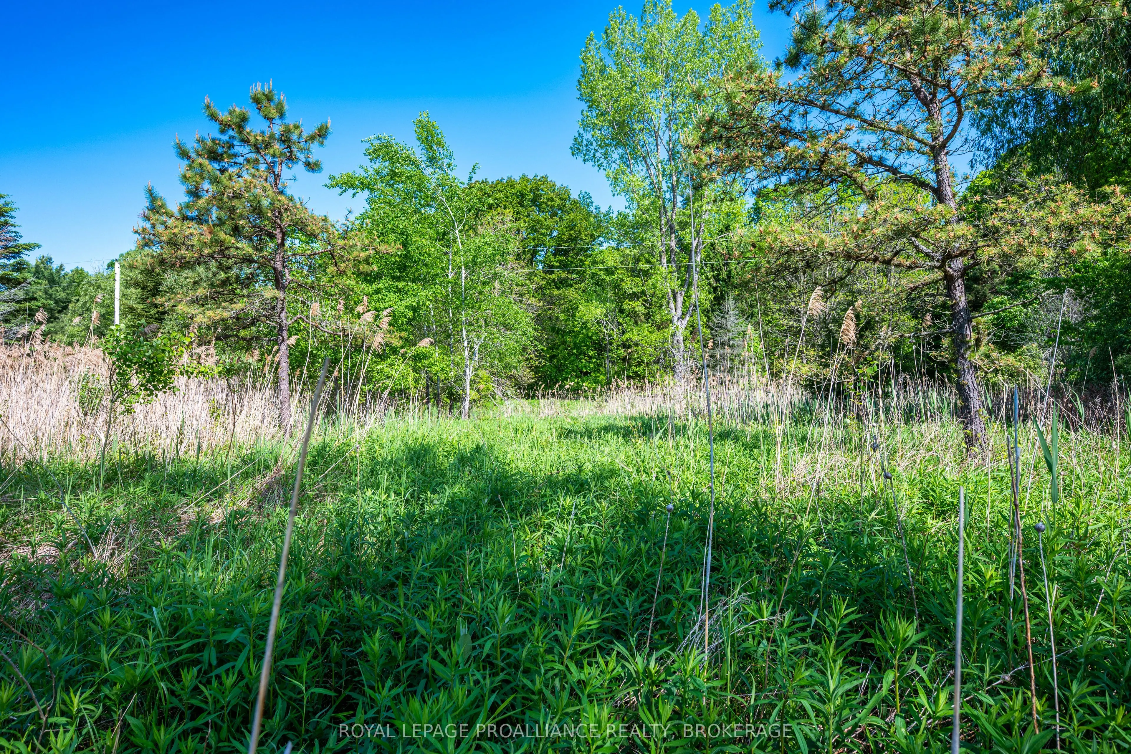 1168 Thousand Island Parkway