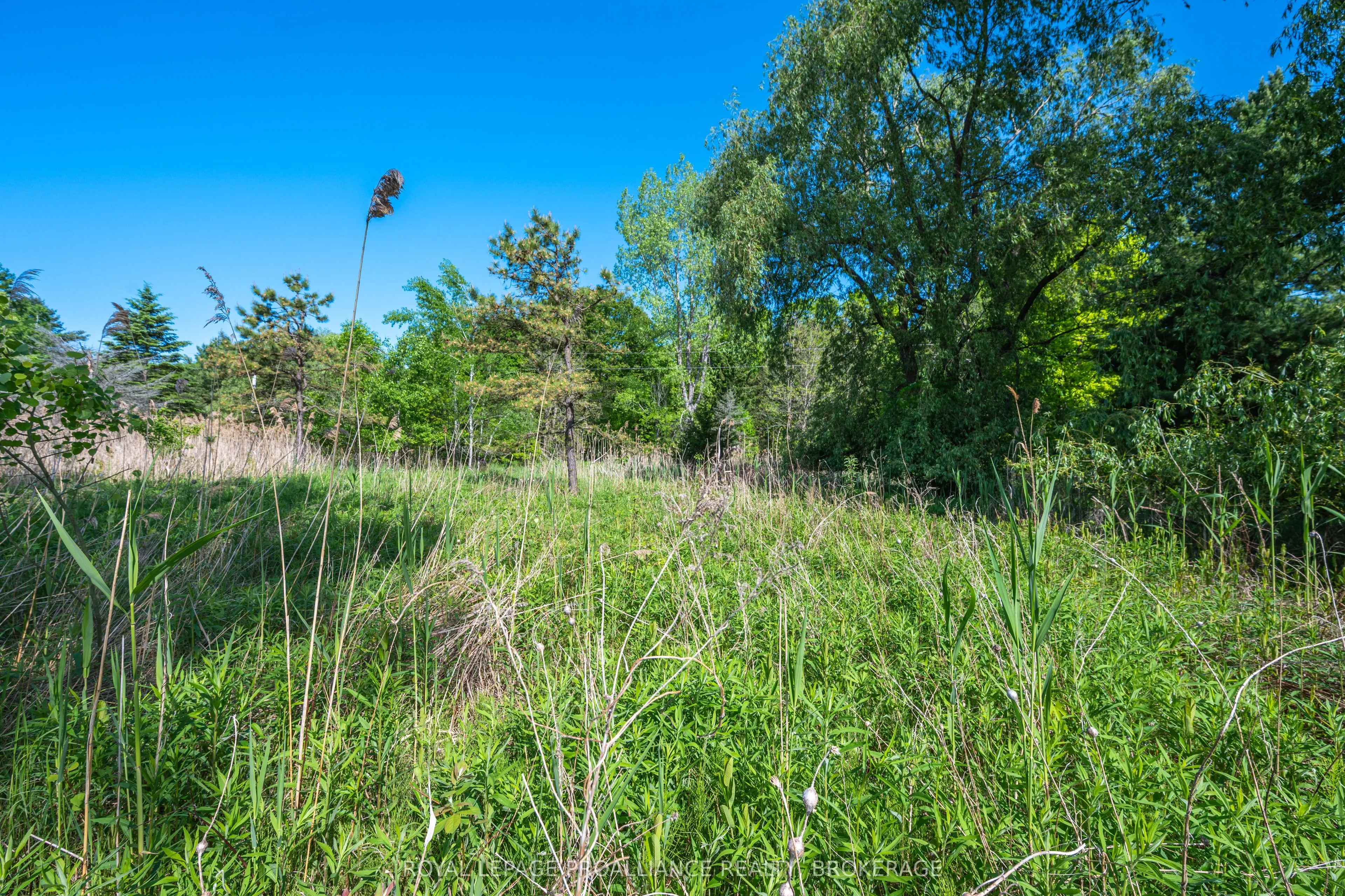 1168 Thousand Island Parkway