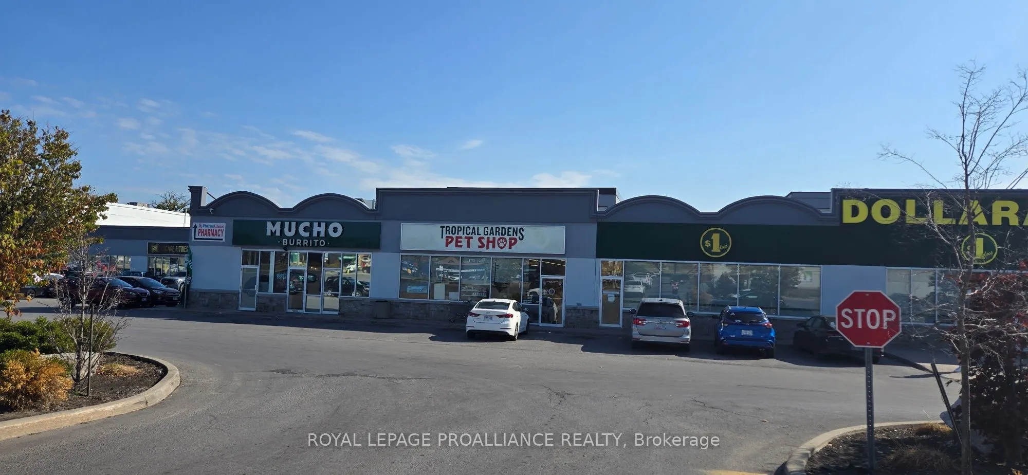 161 Bridge Street W, #12