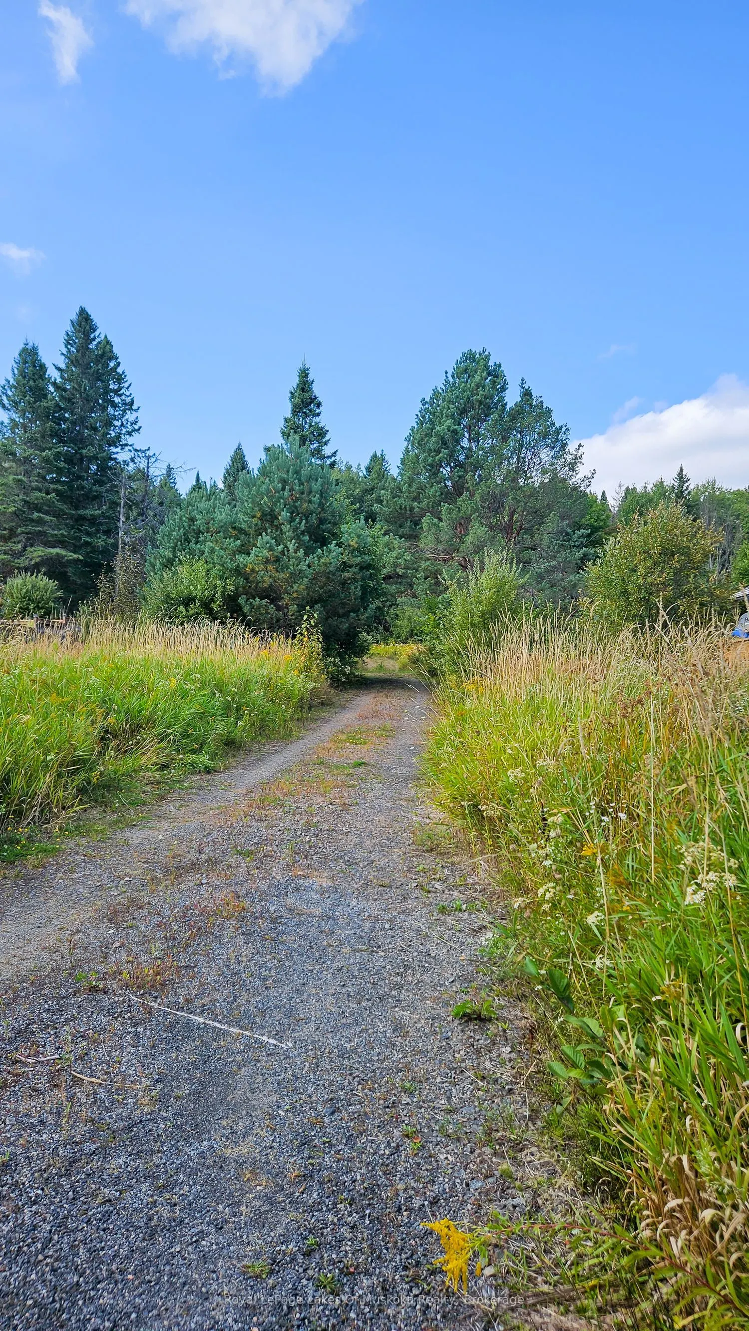 100 Chaffey Township Road