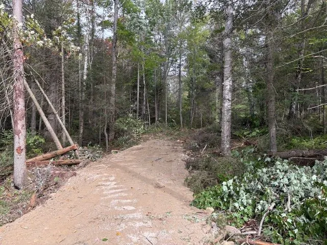 0 Boundary Road