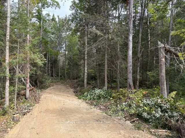 0 Boundary Road