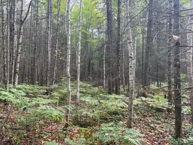 0 Boundary Road