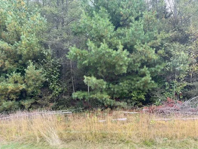 0 Boundary Road