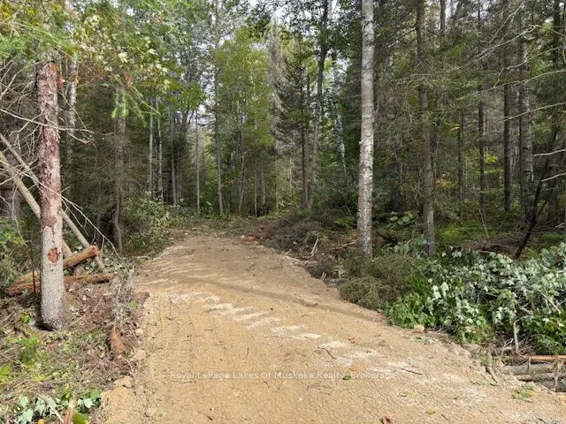 0 Boundary Road